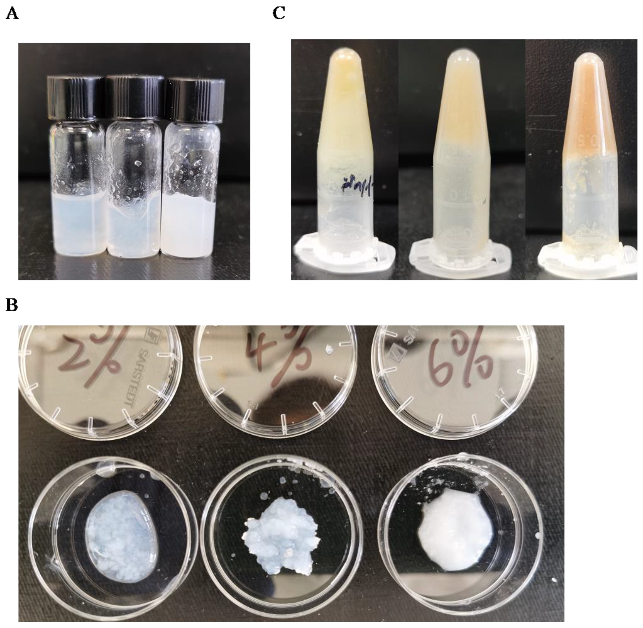 Polymers 16 00530 g003