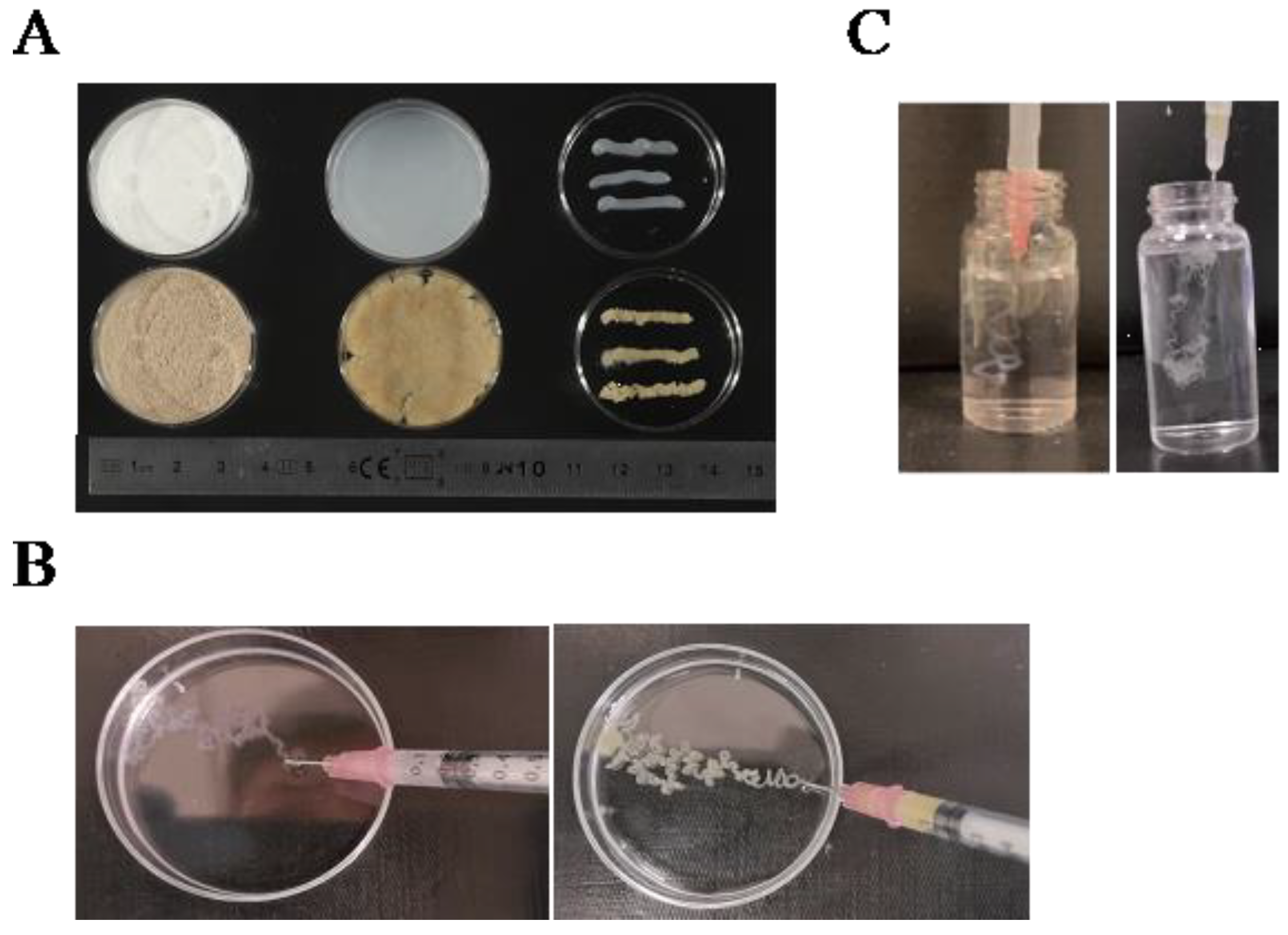 Polymers 16 00530 g006