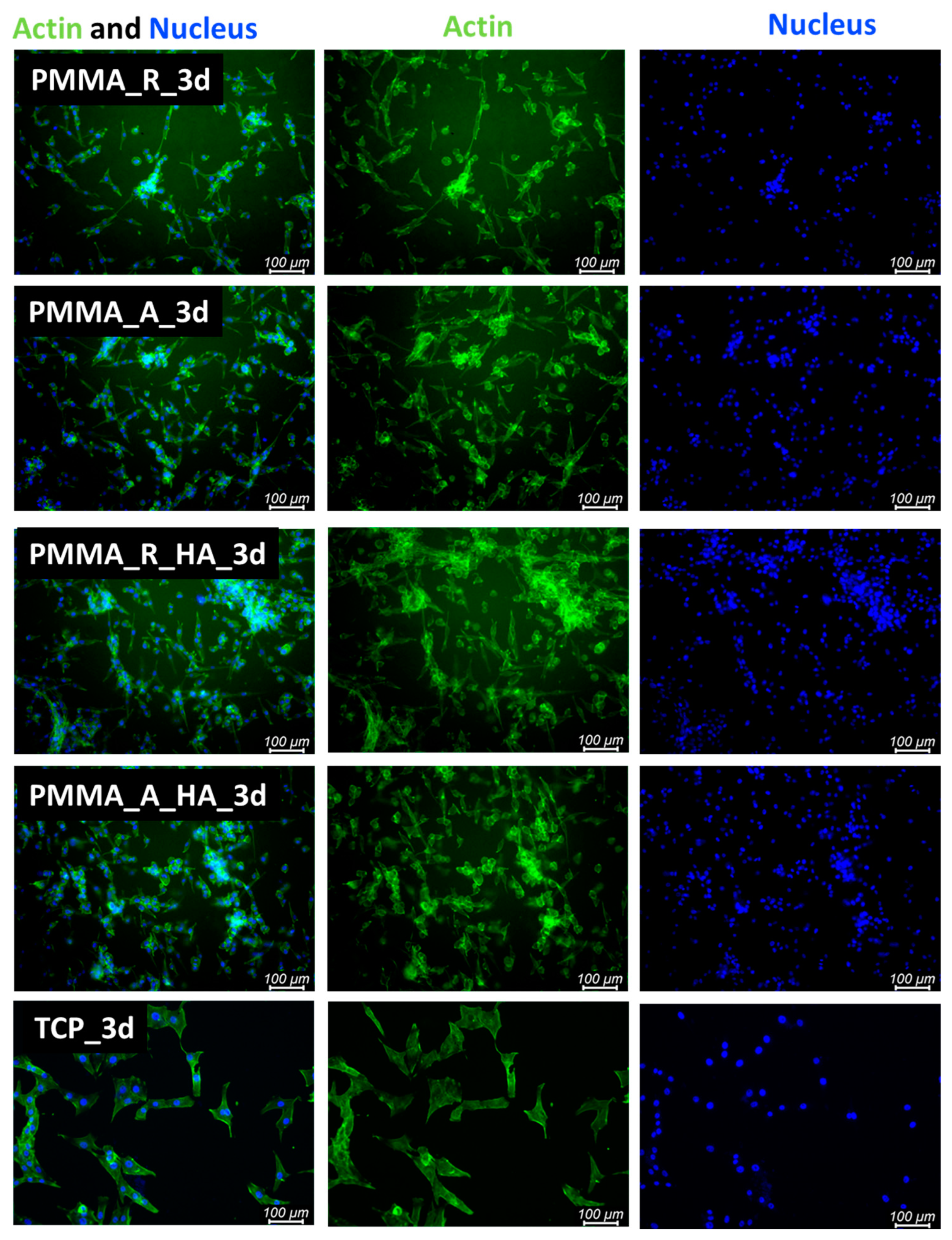 Polymers 16 00531 g009 Polymers 16 00531 g009