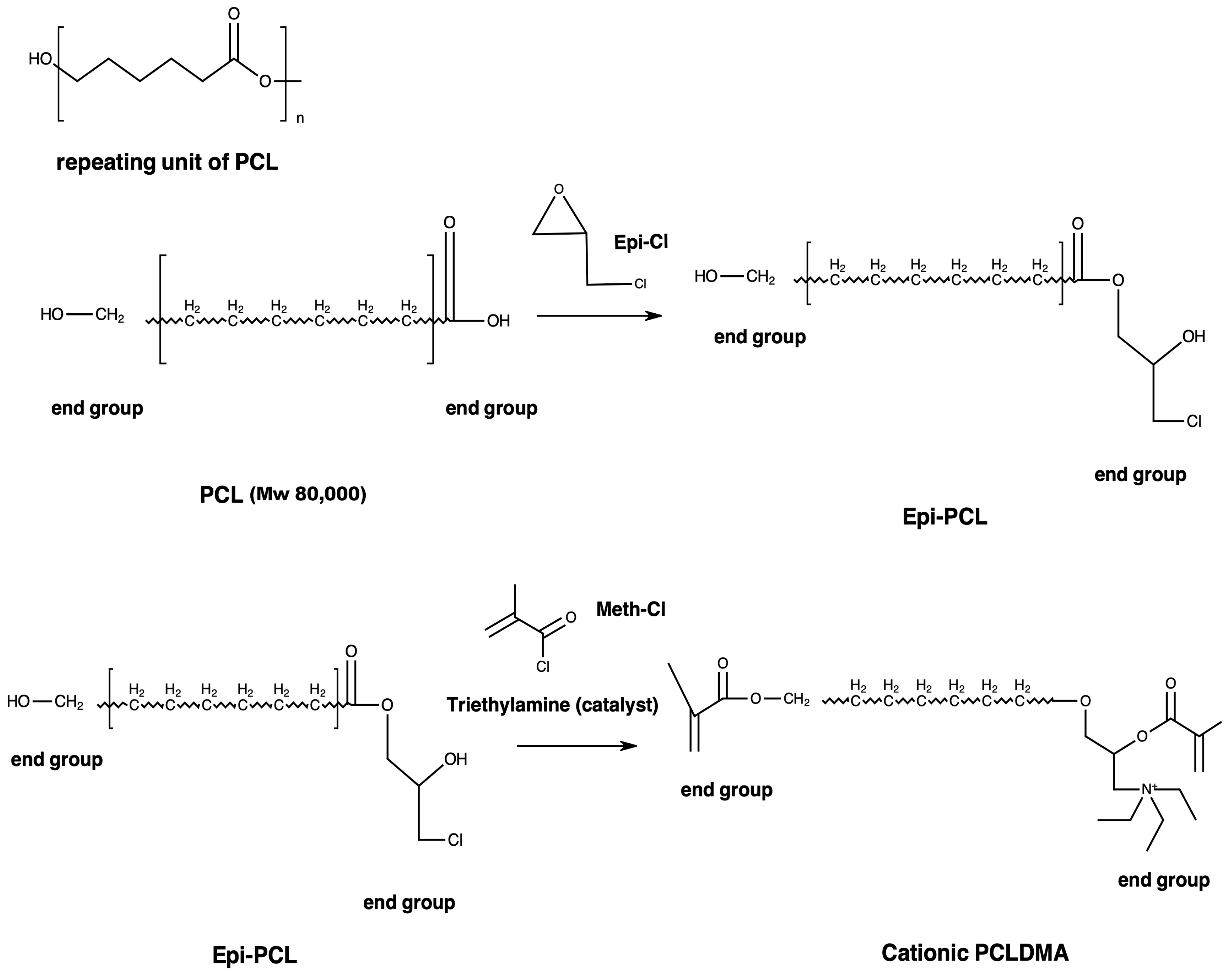 Polymers 16 00534 g001