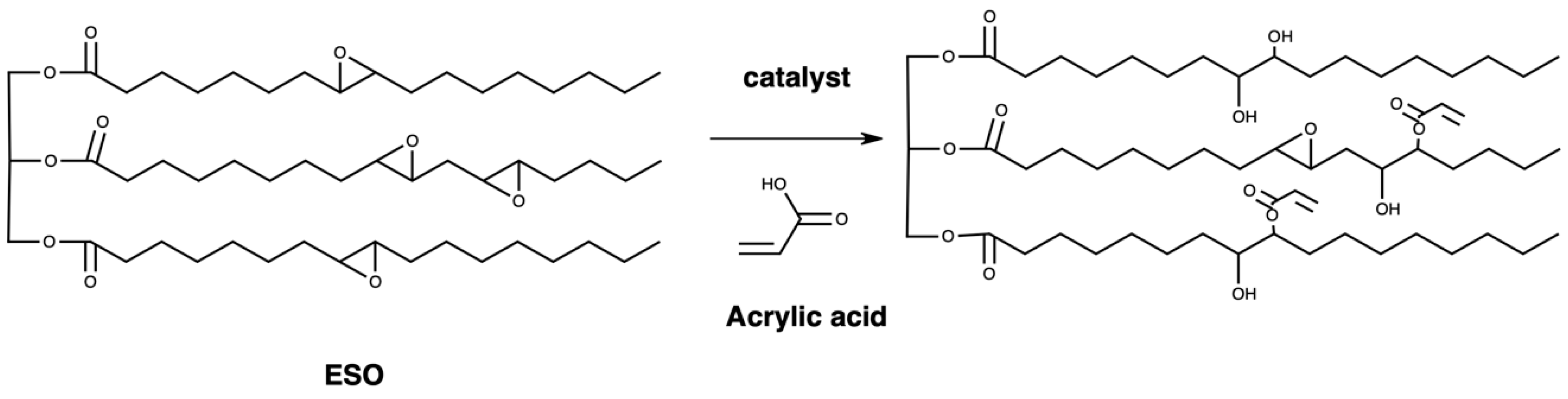 Polymers 16 00534 g002