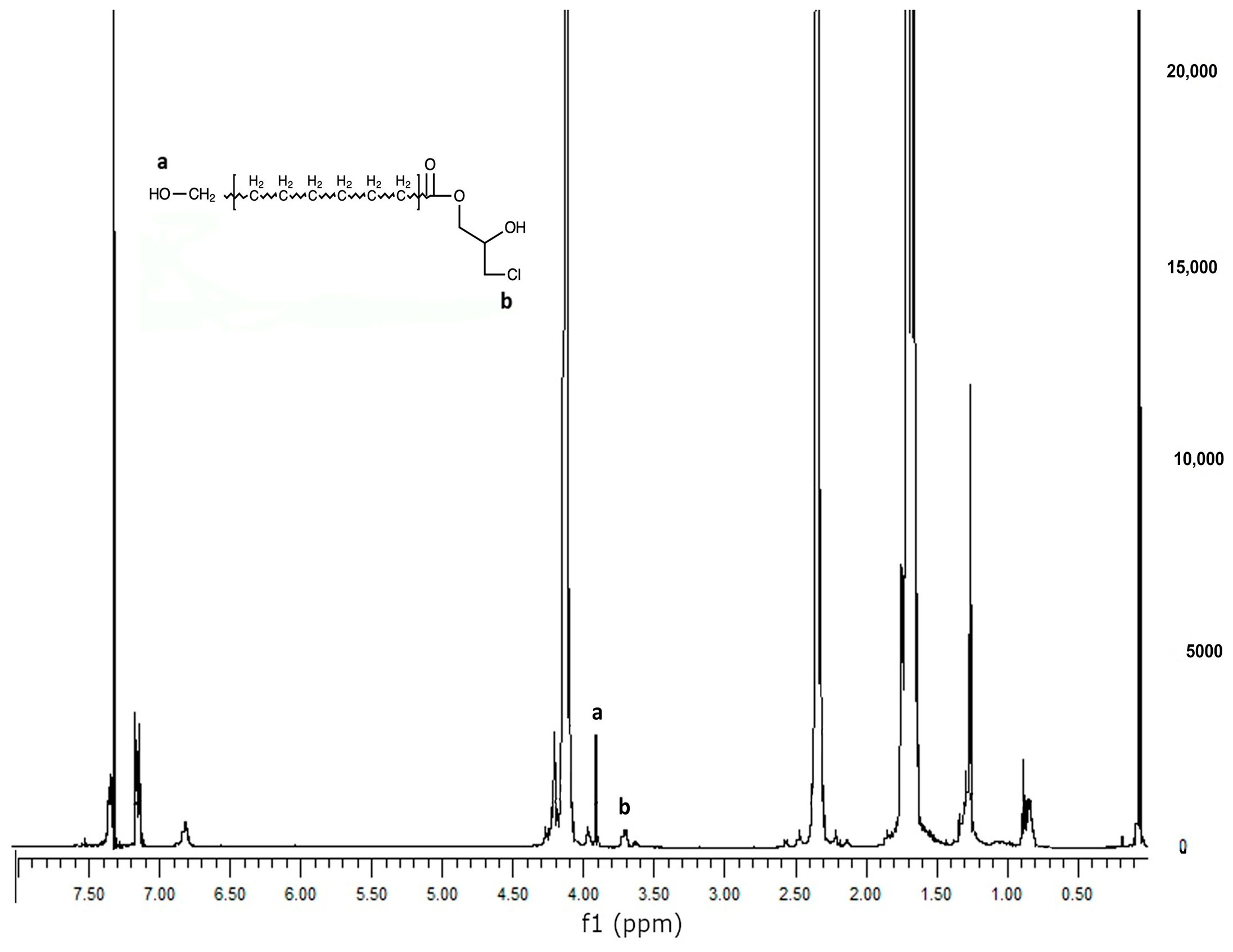 Polymers 16 00534 g004