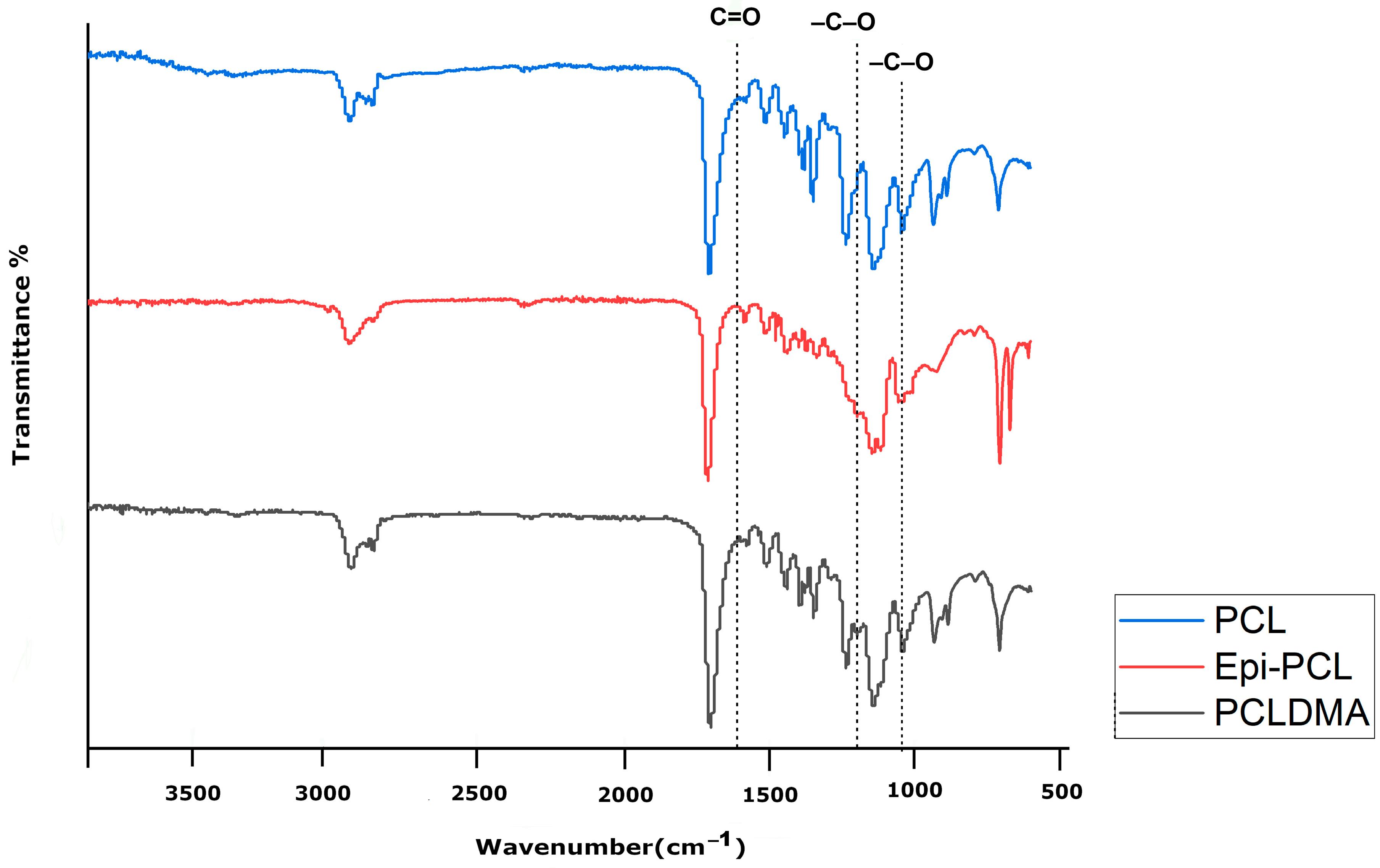Polymers 16 00534 g006