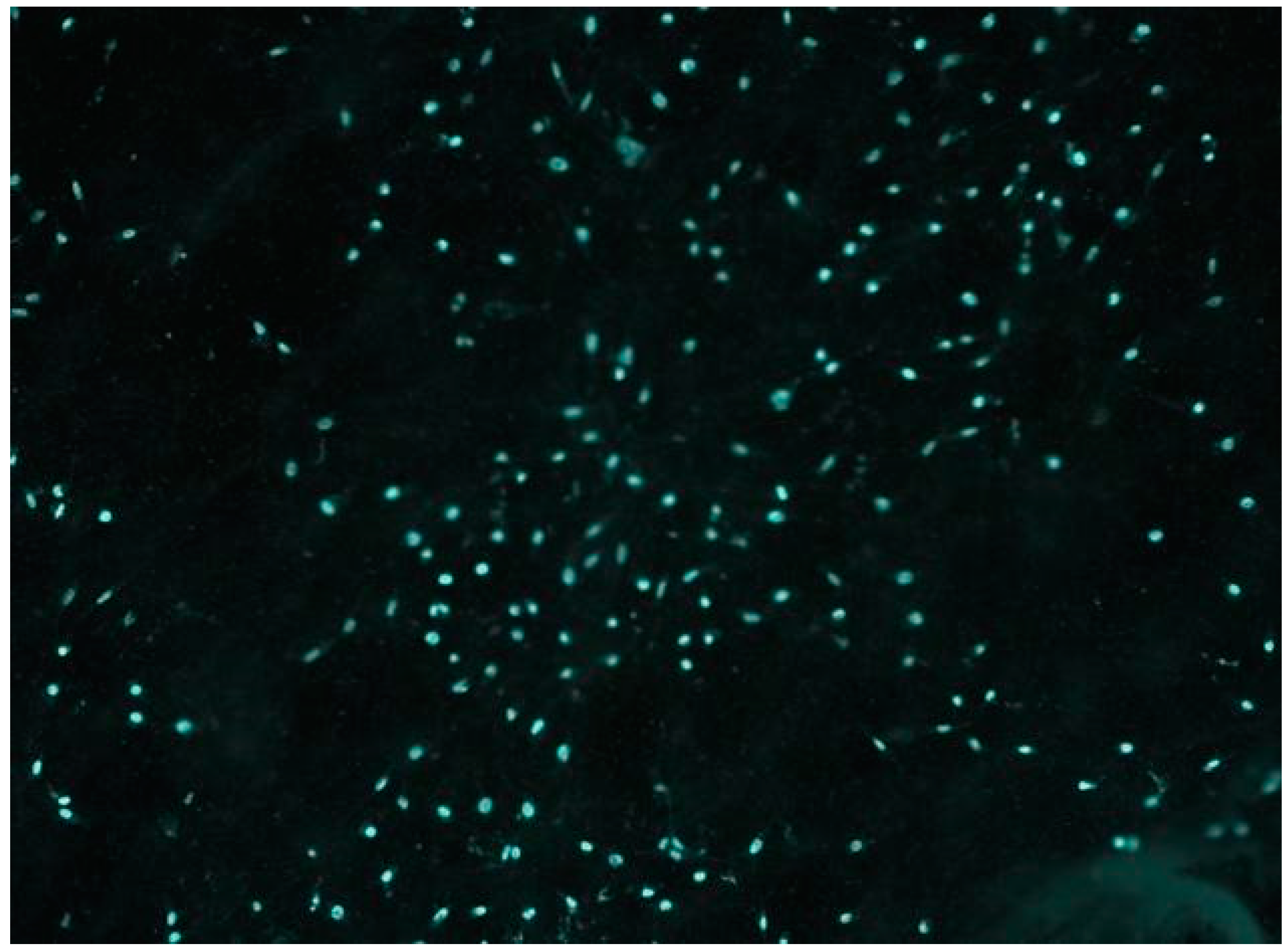 Polymers 16 00534 g011