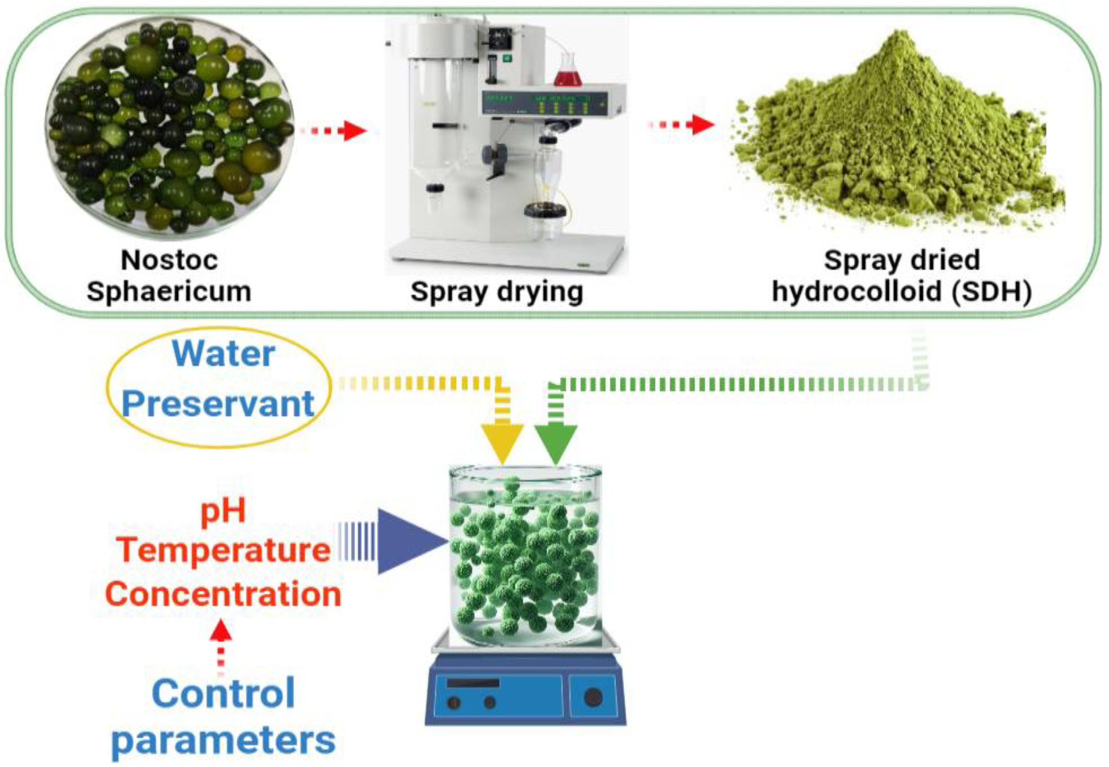 Polymers 16 00537 g001