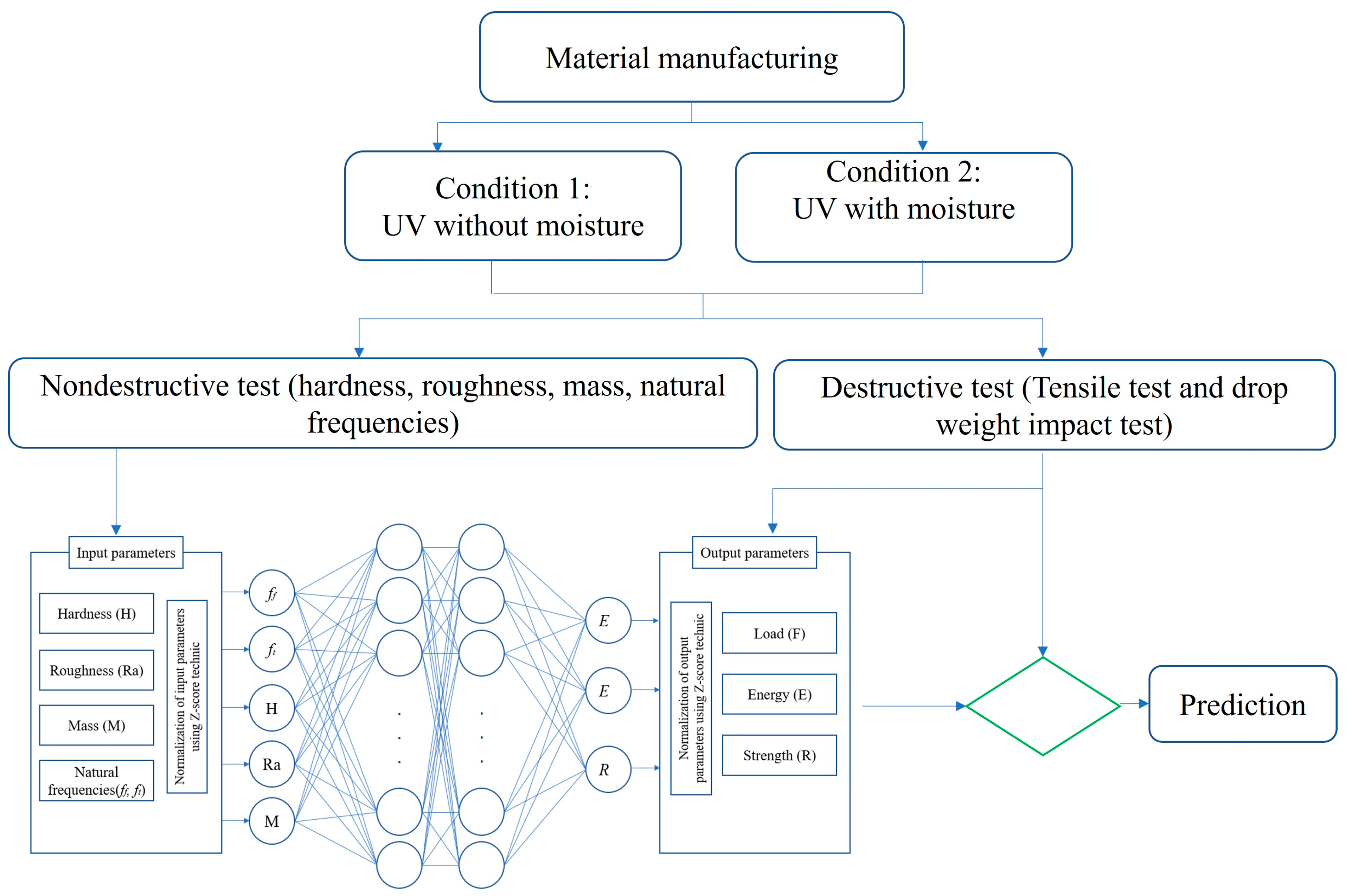 Polymers 16 00538 g001