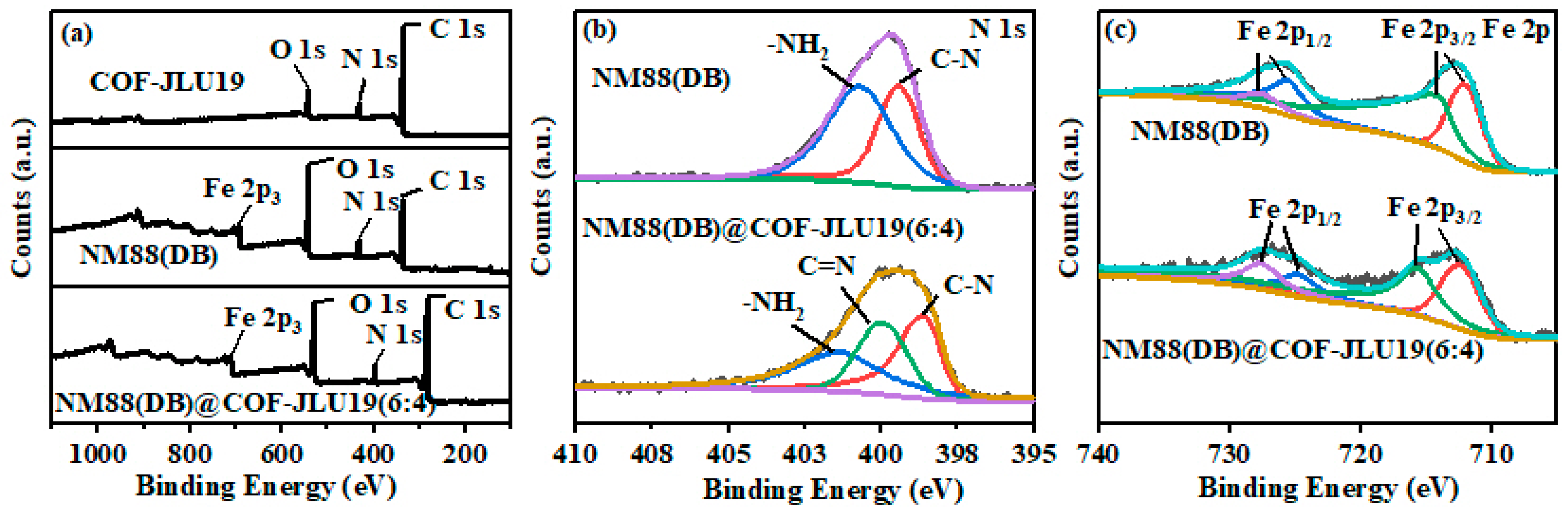 Polymers 16 00539 g004