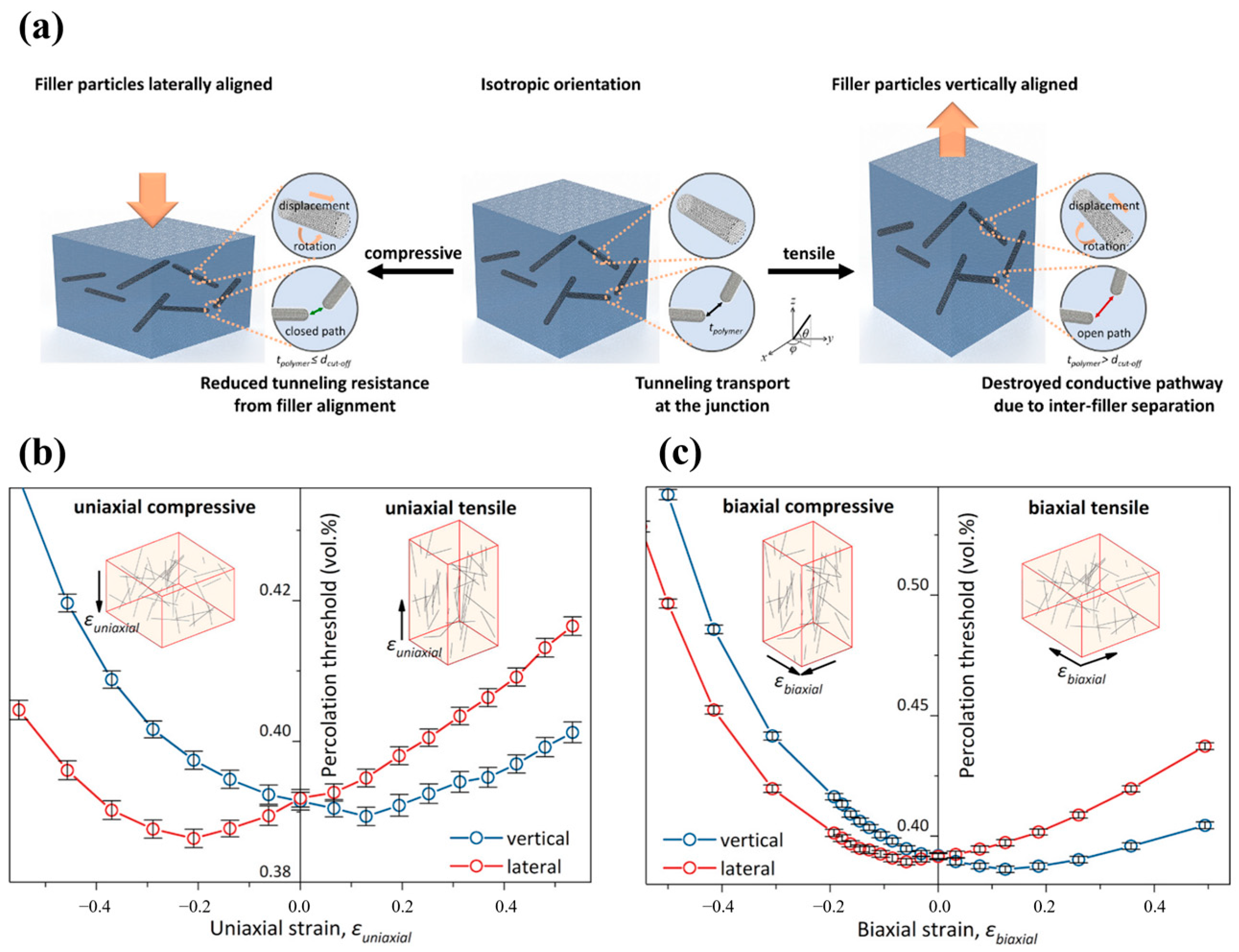 Polymers 16 00545 g009