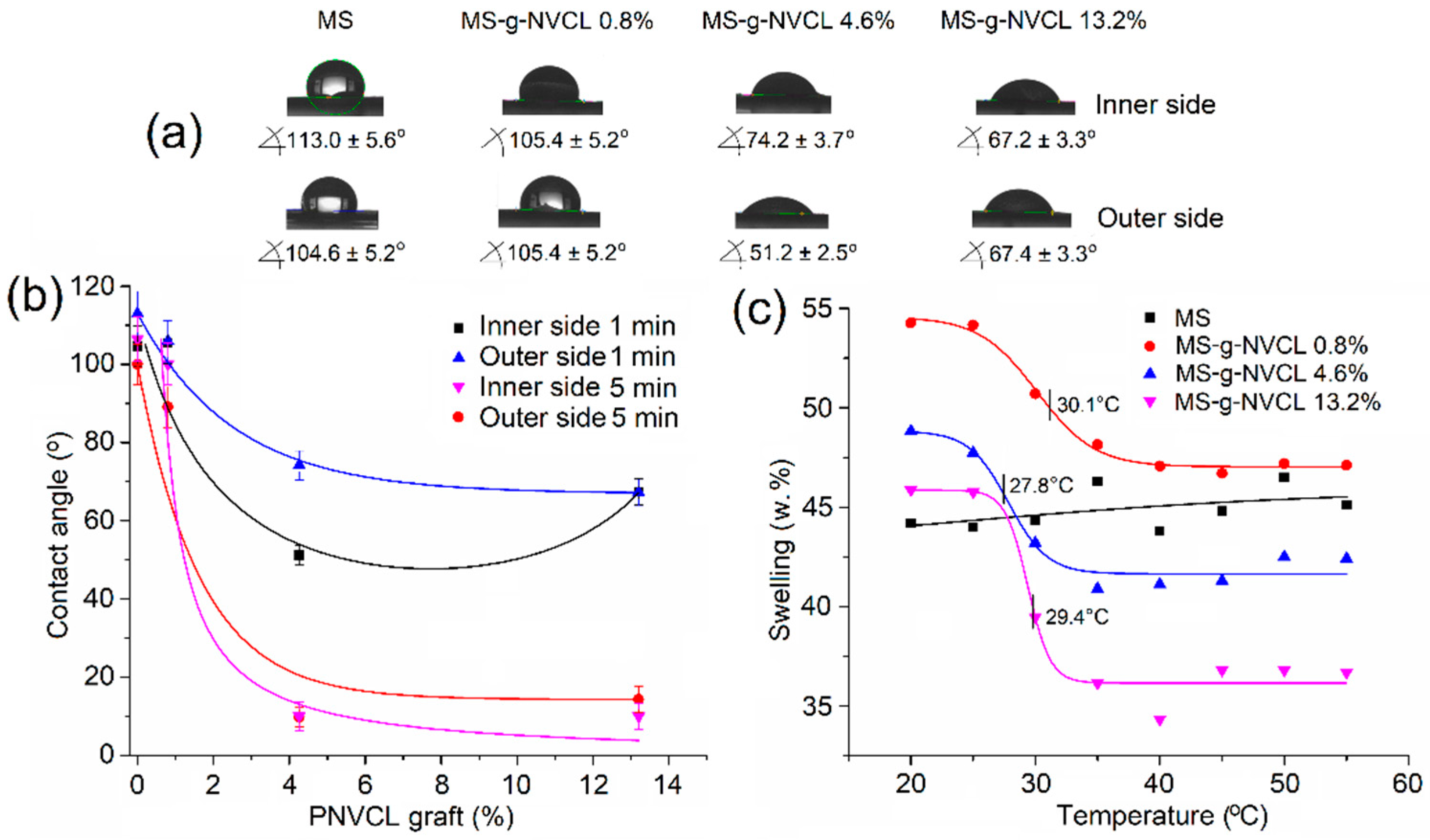 Polymers 16 00551 g002