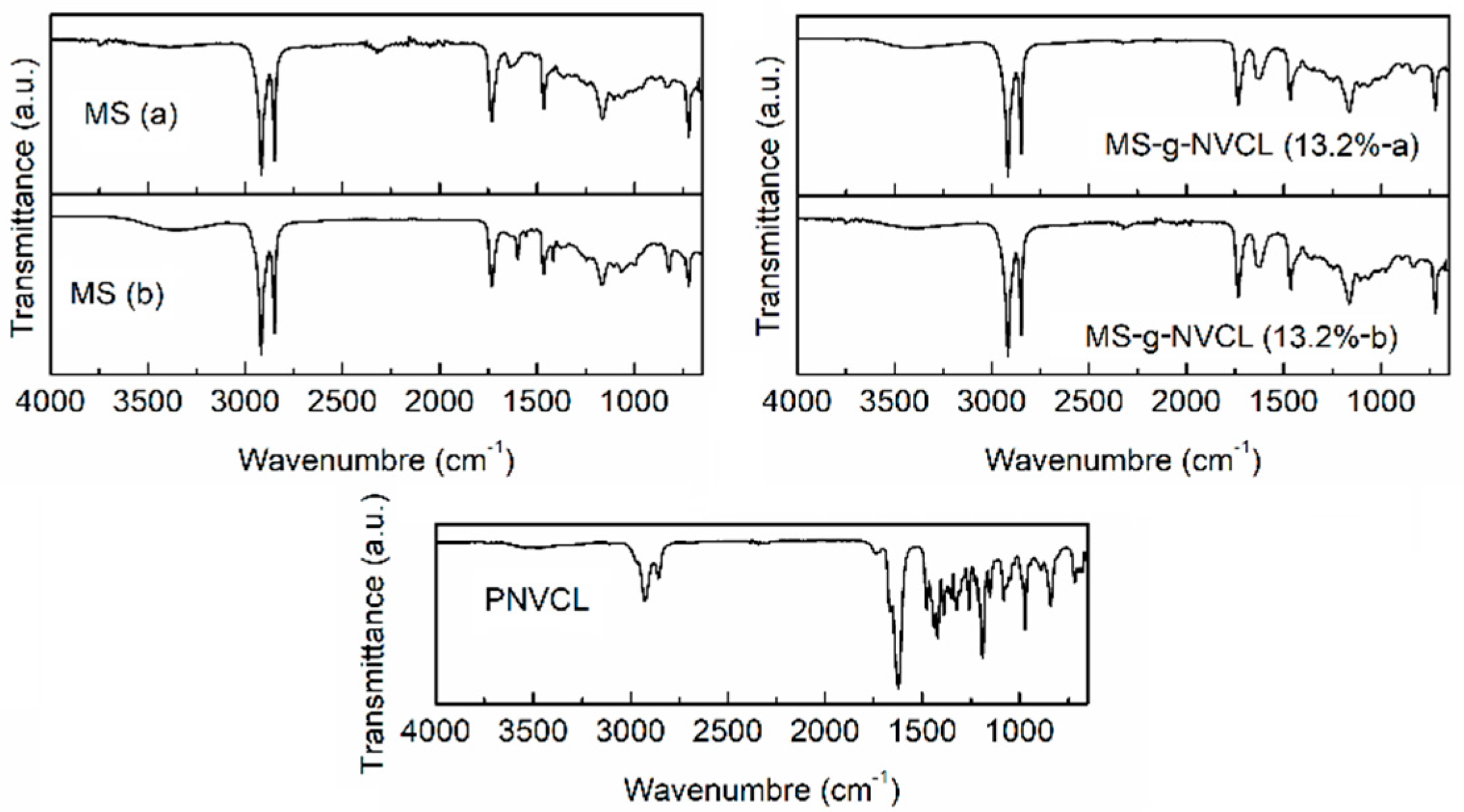 Polymers 16 00551 g003