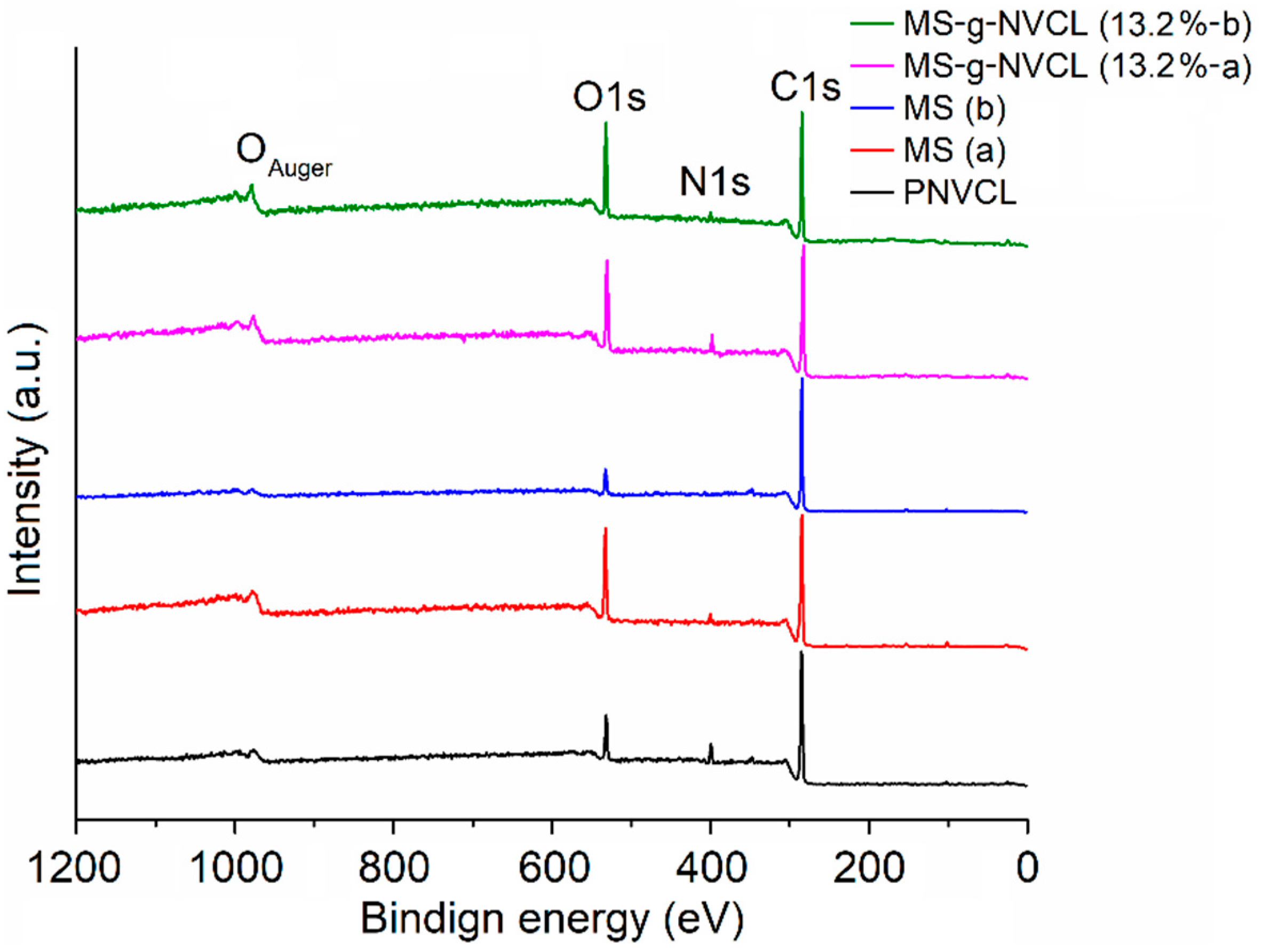Polymers 16 00551 g005