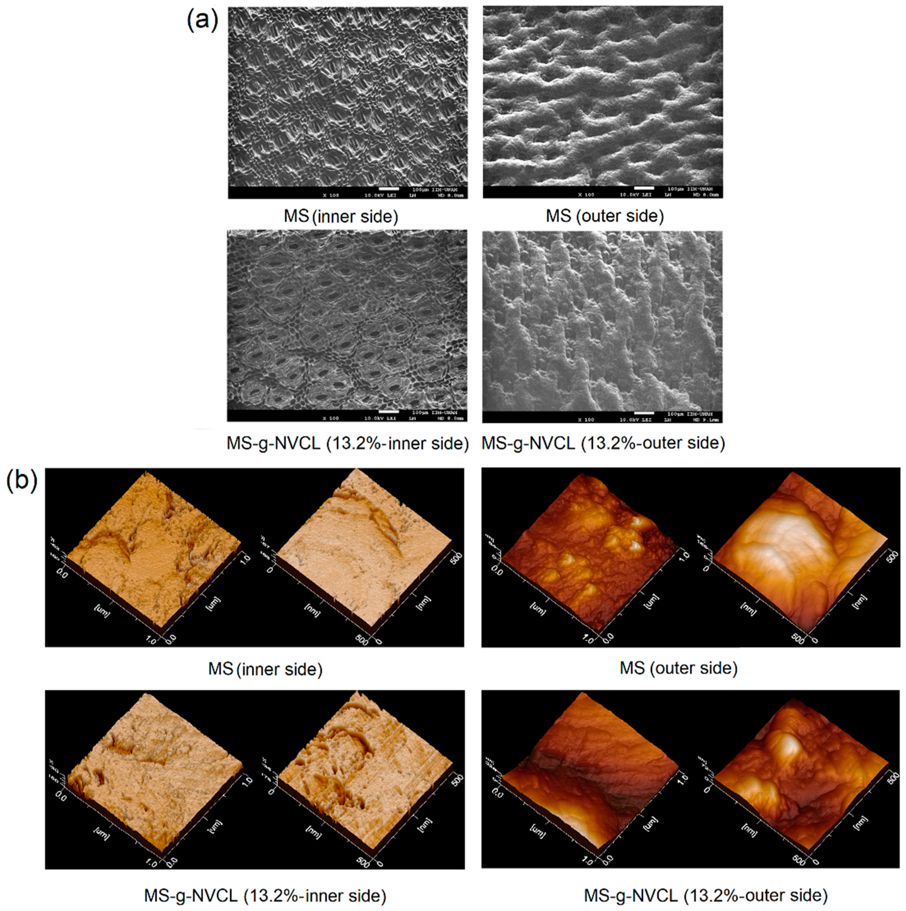 Polymers 16 00551 g008