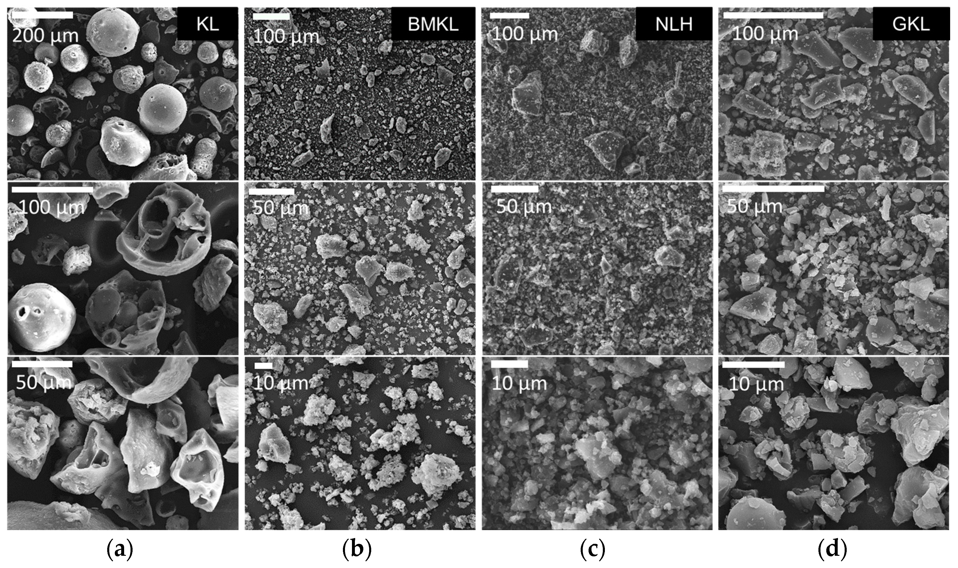 Polymers 16 00553 g003