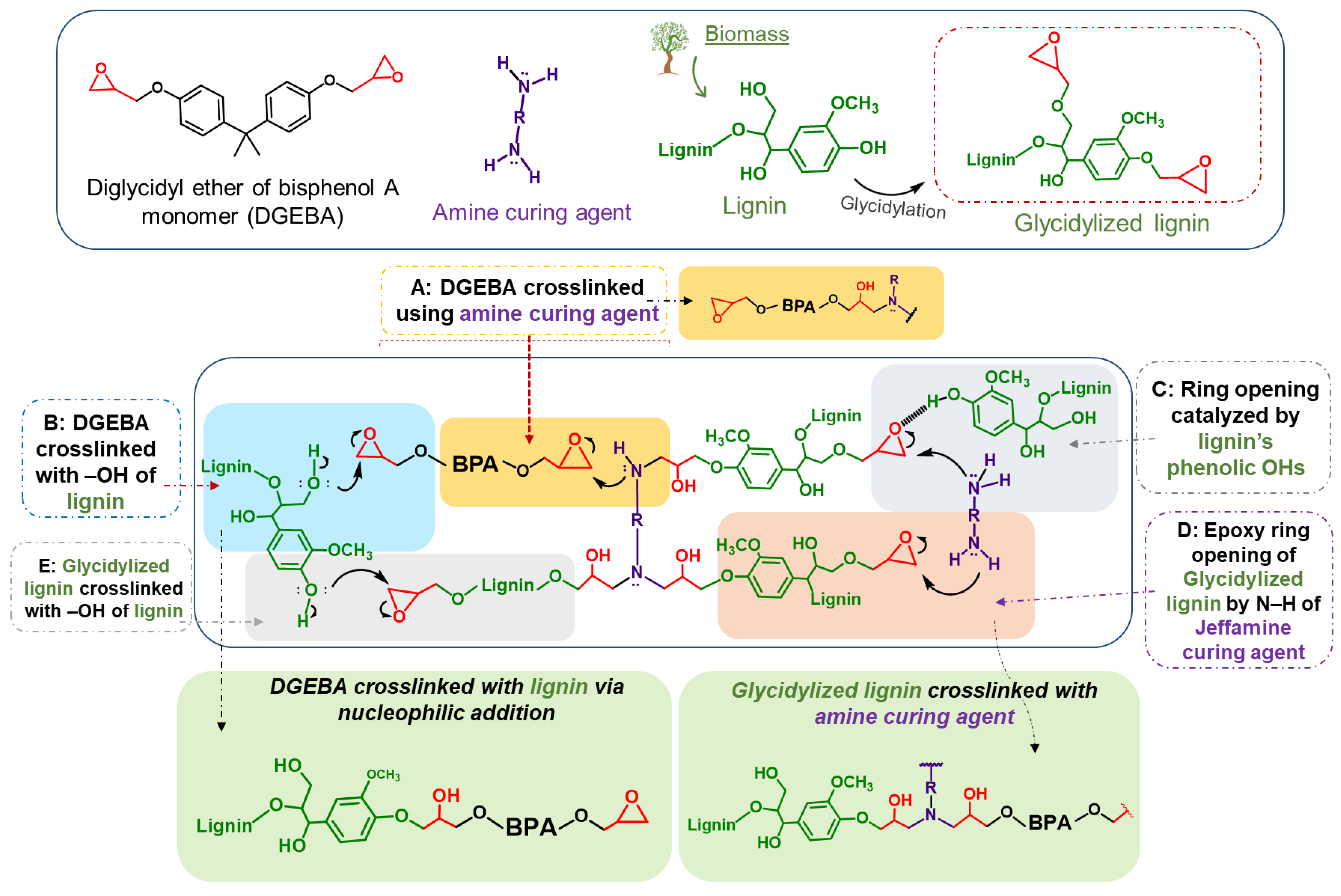 Polymers 16 00553 sch001