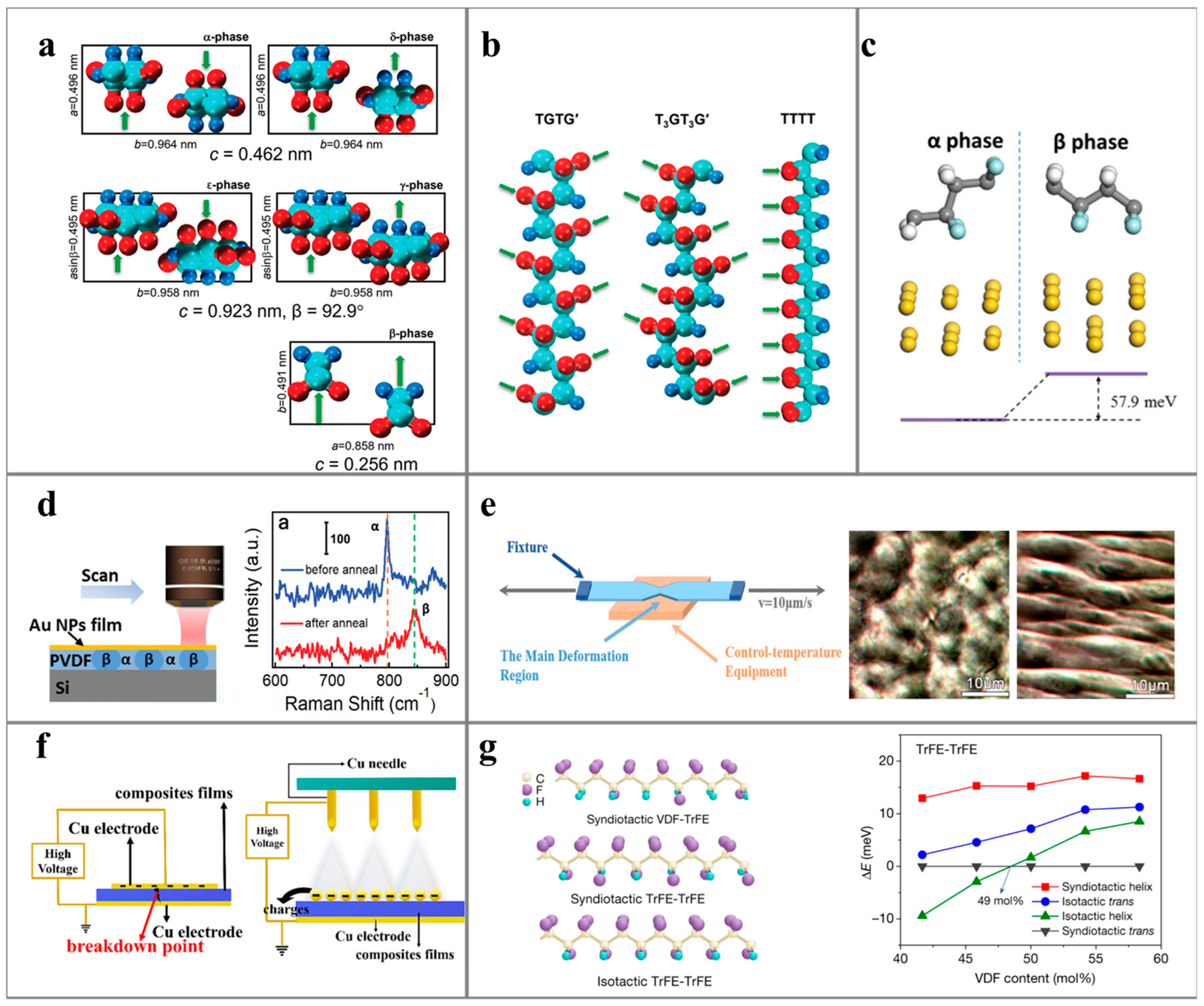 Polymers 16 00555 g003