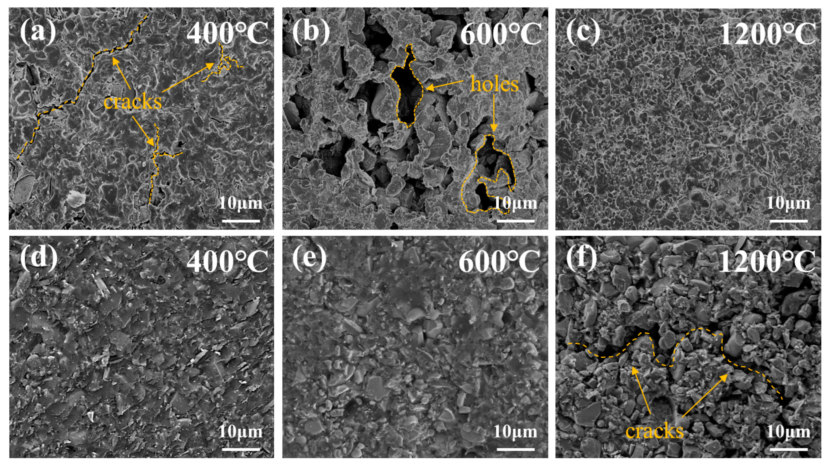 Polymers 16 00557 g007