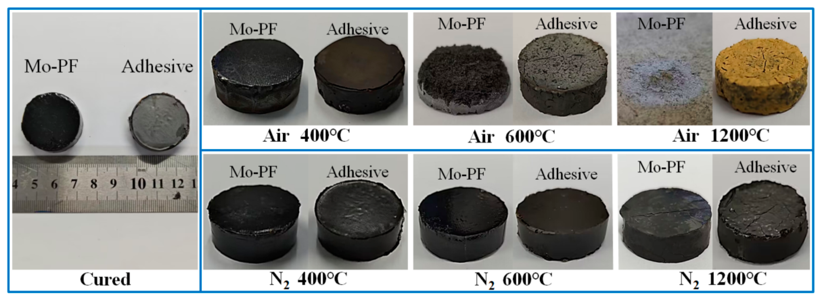 Polymers 16 00557 g008
