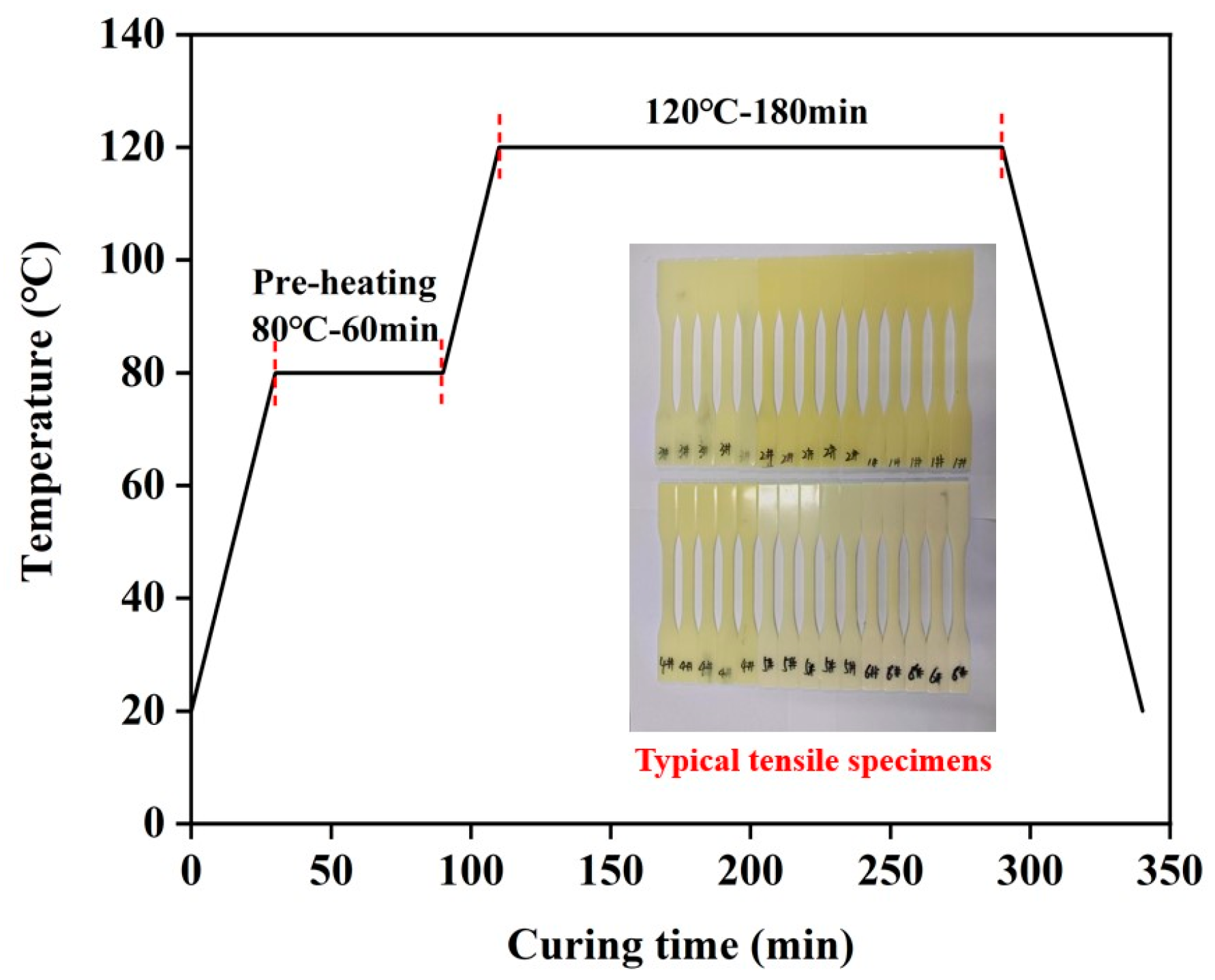 Polymers 16 00558 g002