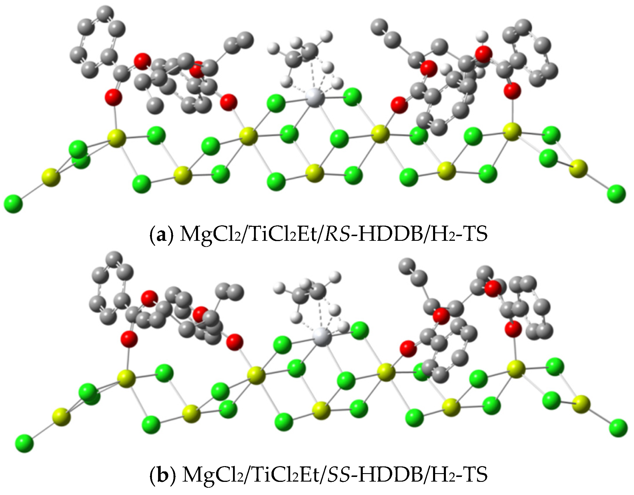 Polymers 16 00559 g006