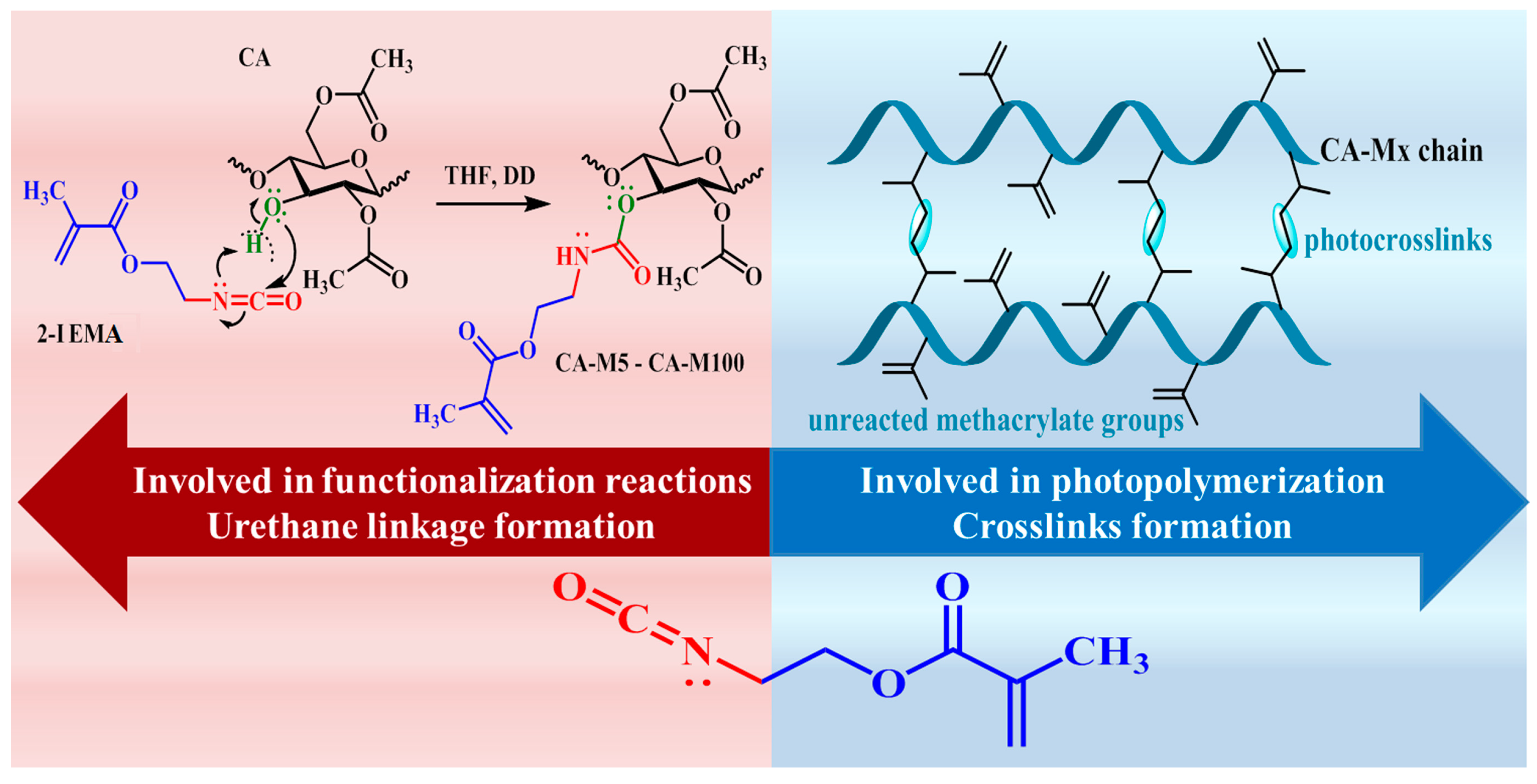 Polymers 16 00560 g001