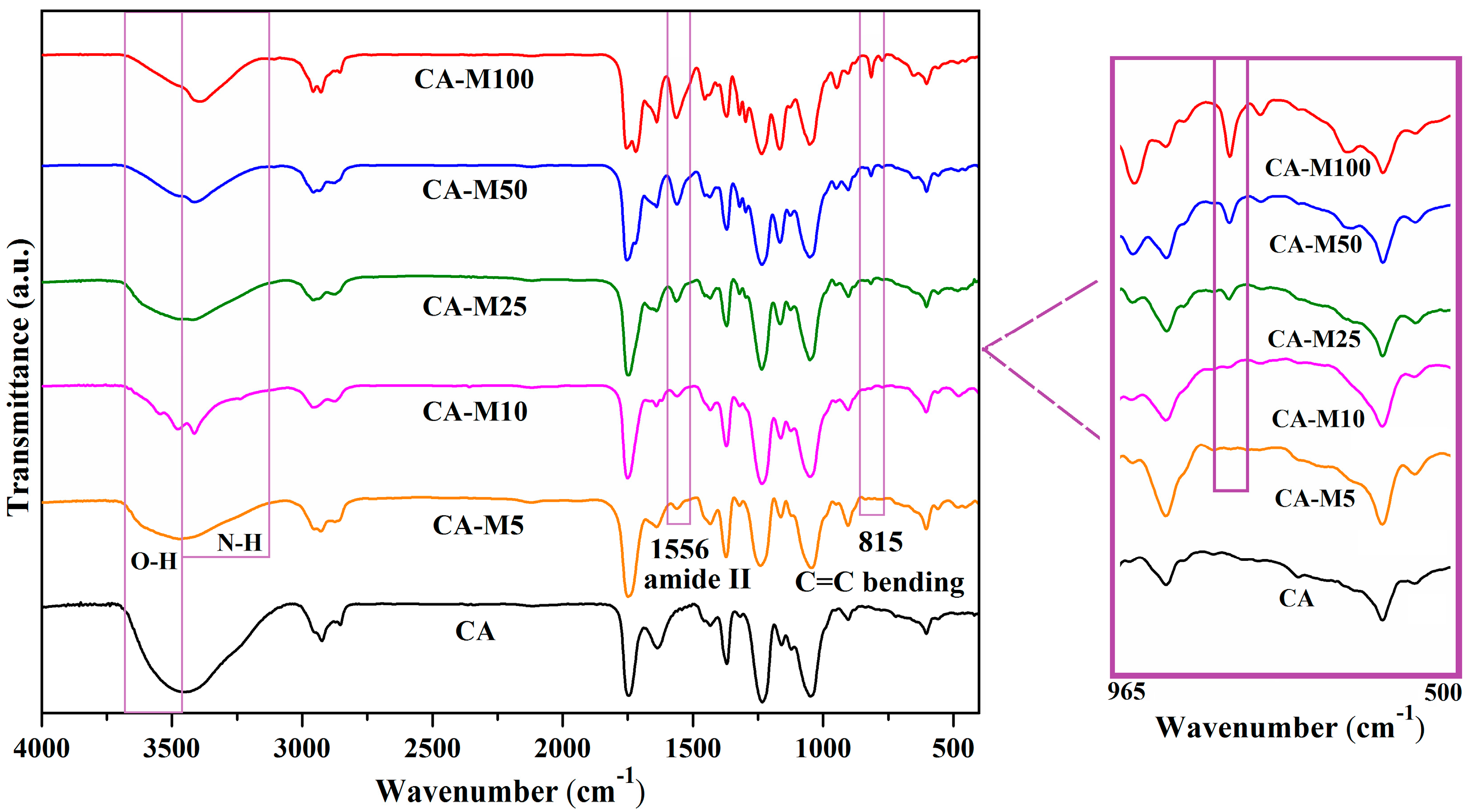 Polymers 16 00560 g002