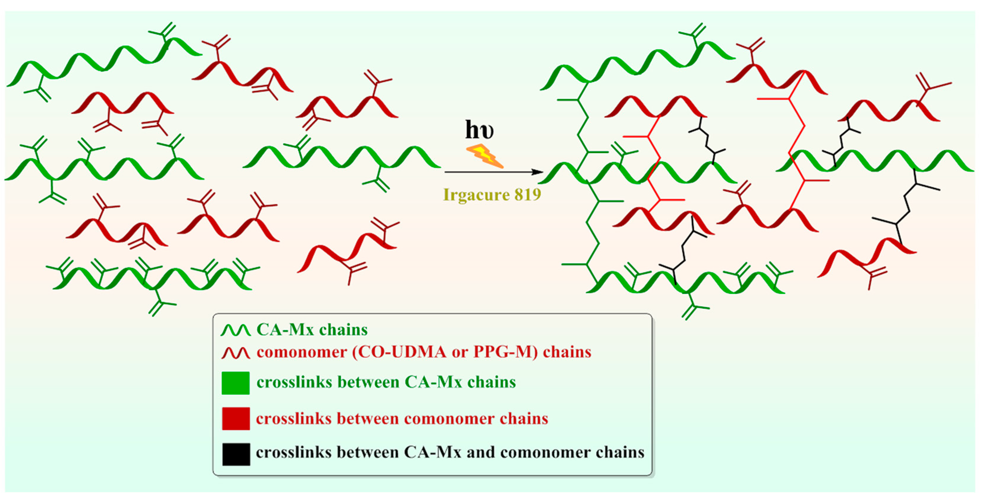 Polymers 16 00560 g010