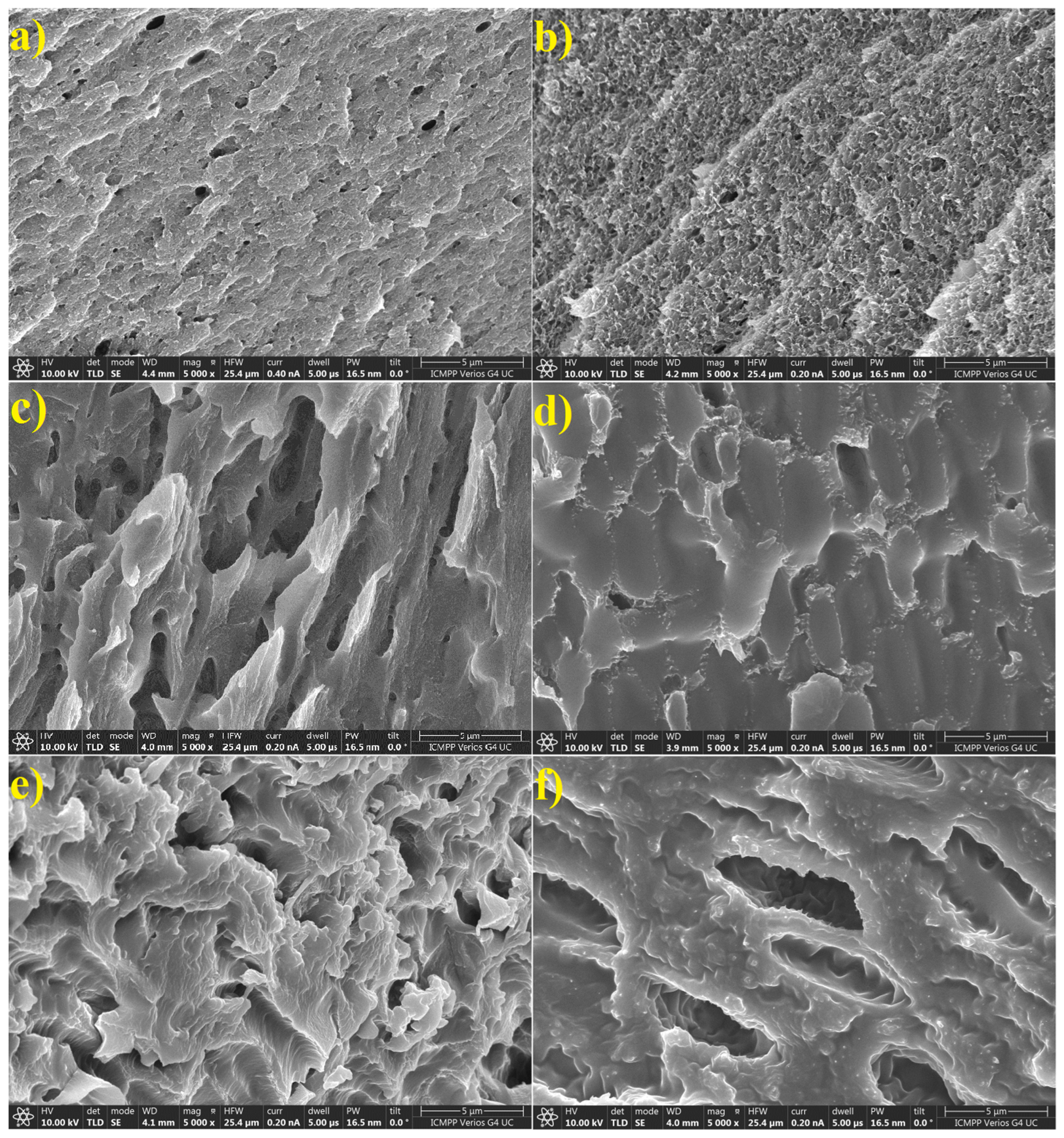 Polymers 16 00560 g013