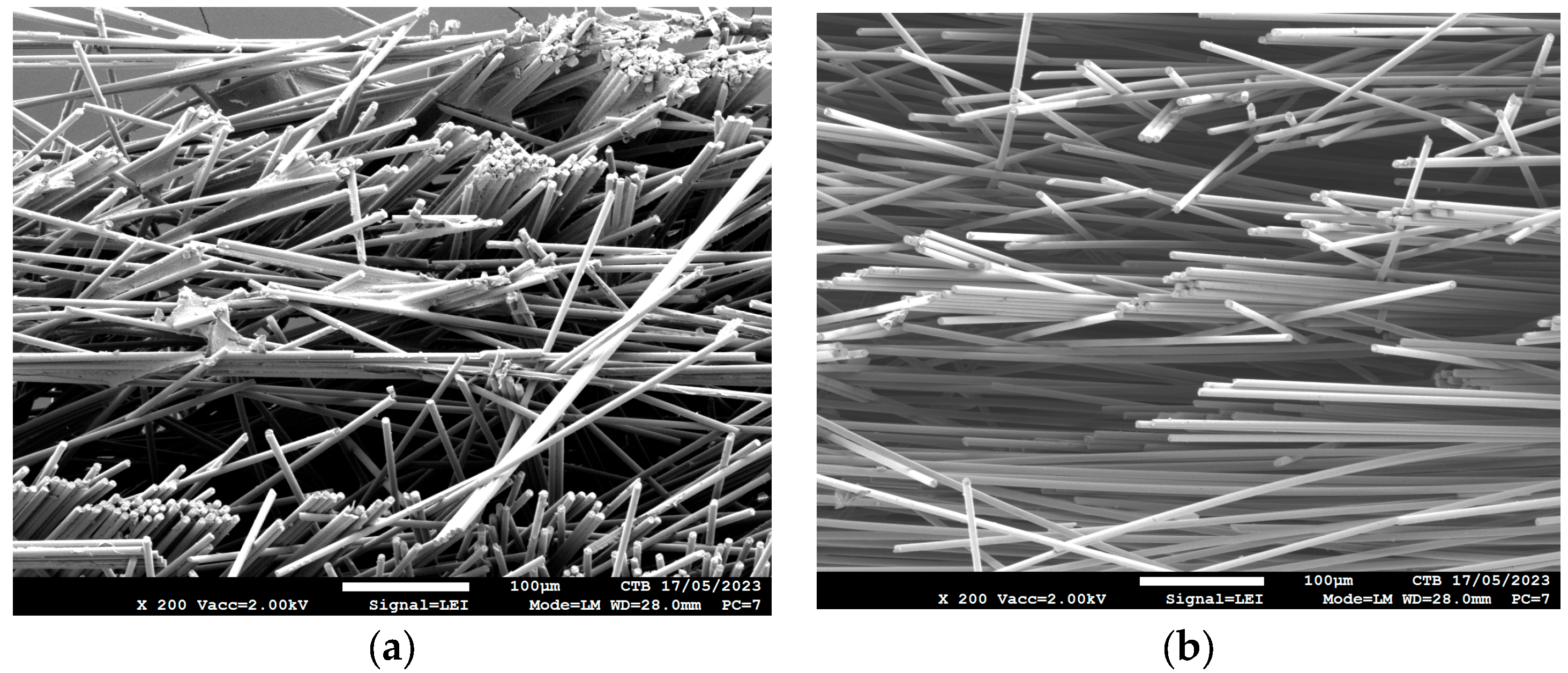 Polymers 16 00561 g002