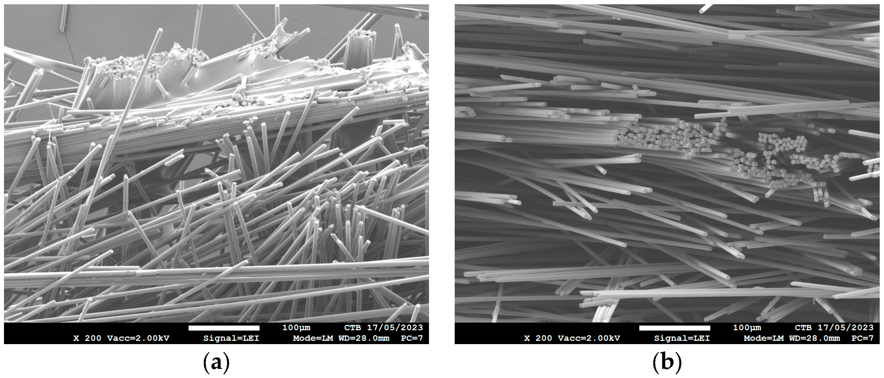 Polymers 16 00561 g003