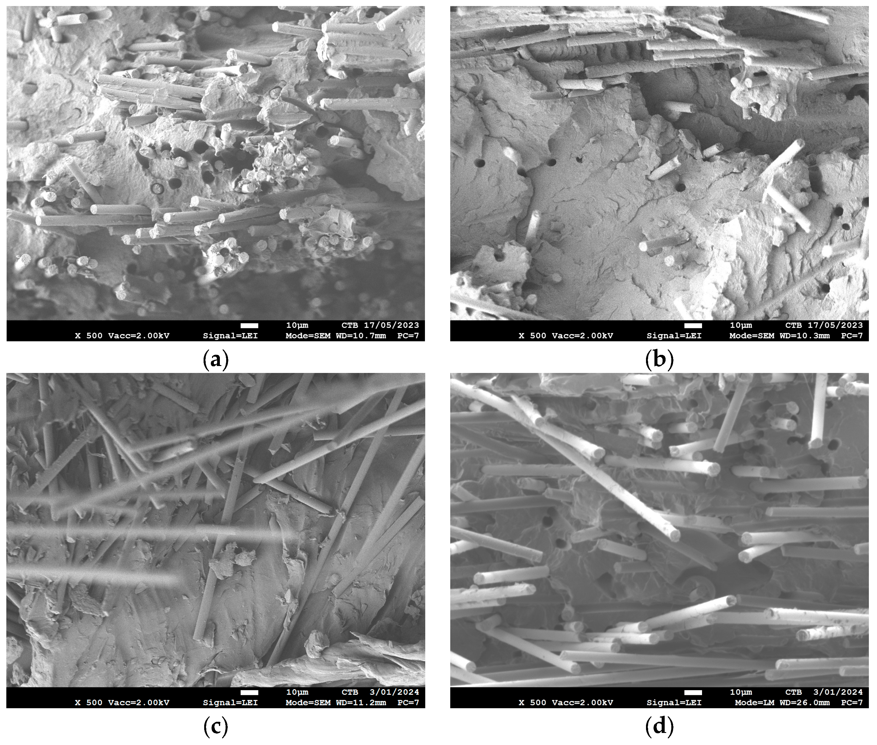 Polymers 16 00561 g007