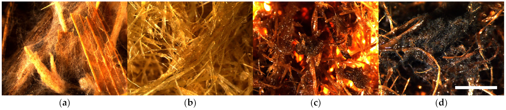 Polymers 16 00562 g006