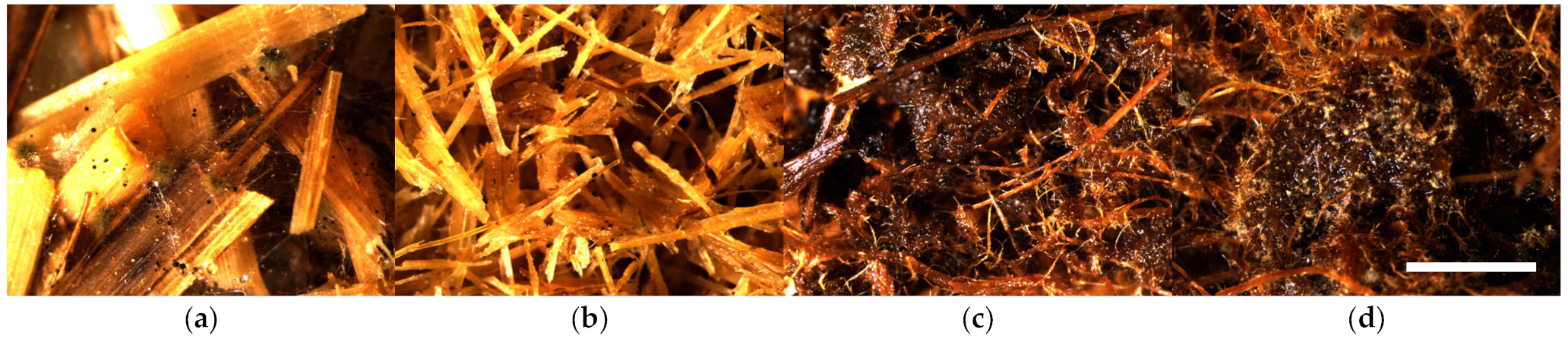 Polymers 16 00562 g008