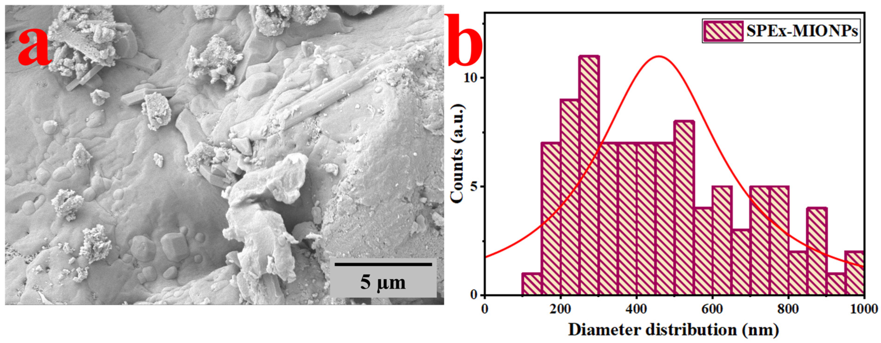 Polymers 16 00564 g001