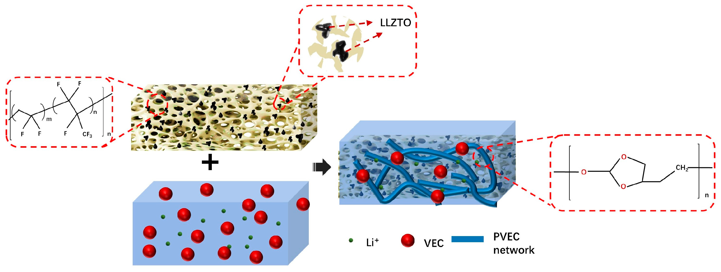 Polymers 16 00565 g001