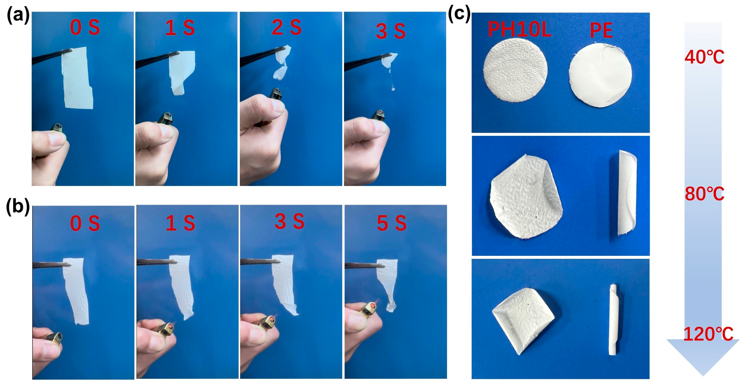Polymers 16 00565 g004
