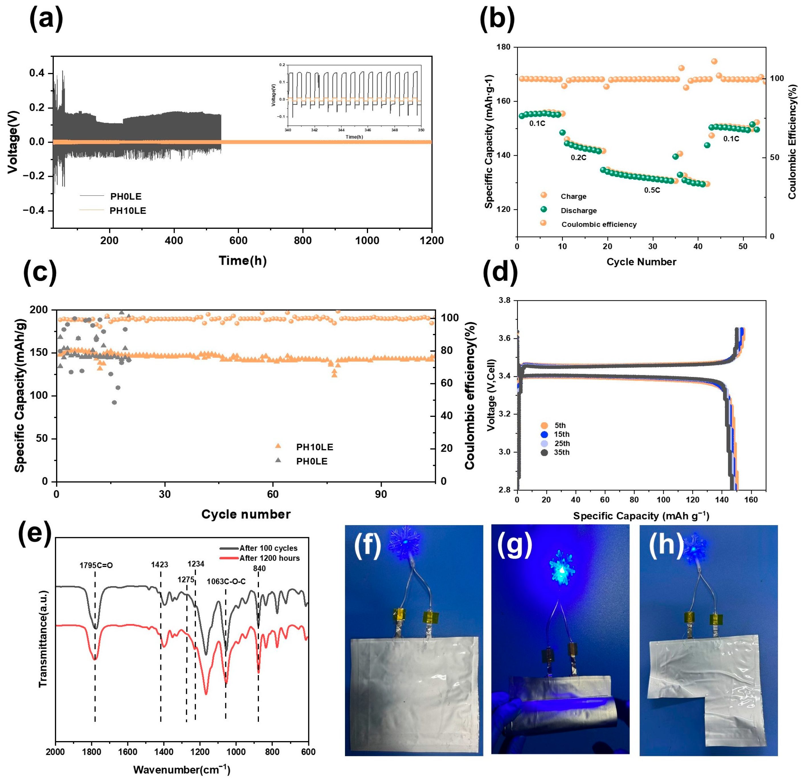 Polymers 16 00565 g006