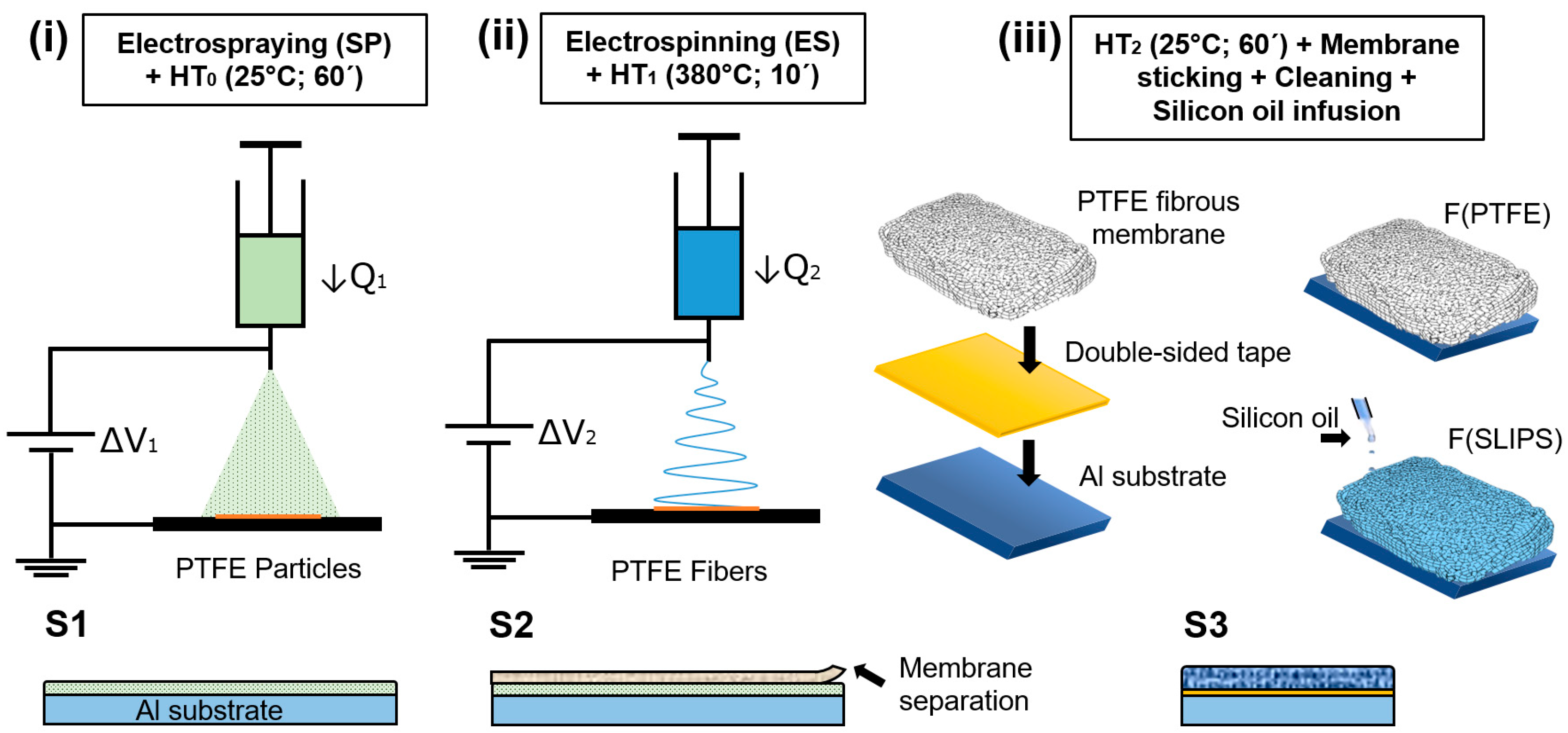 Polymers 16 00571 g001