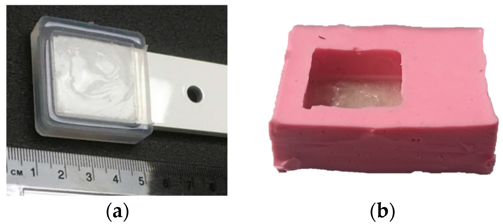 Polymers 16 00571 g002