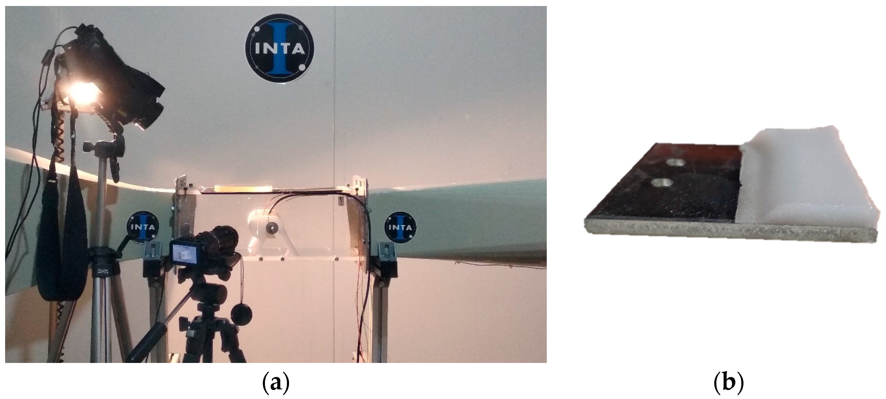 Polymers 16 00571 g003