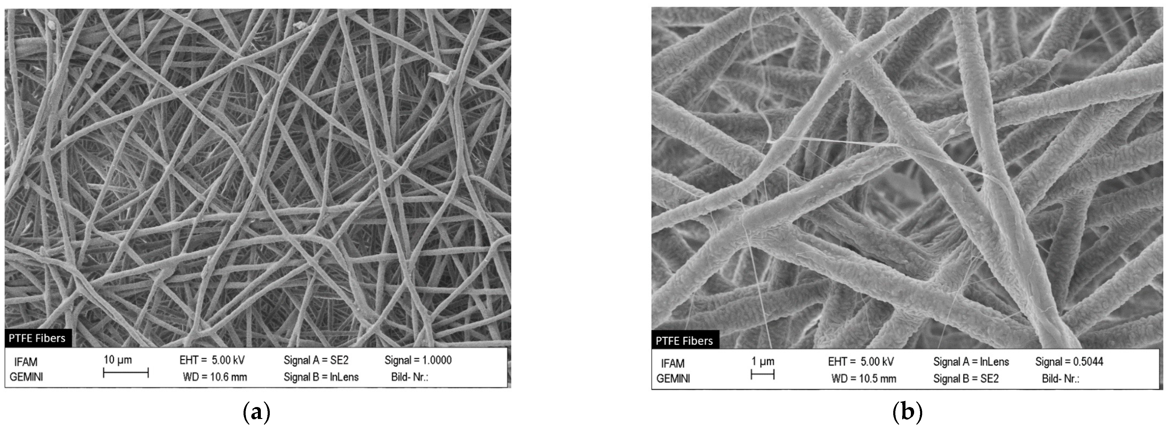 Polymers 16 00571 g005a