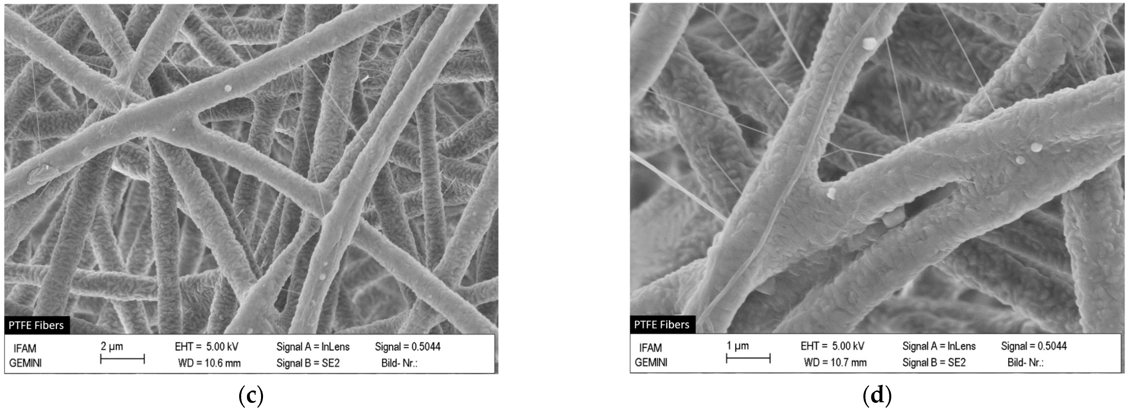 Polymers 16 00571 g005b