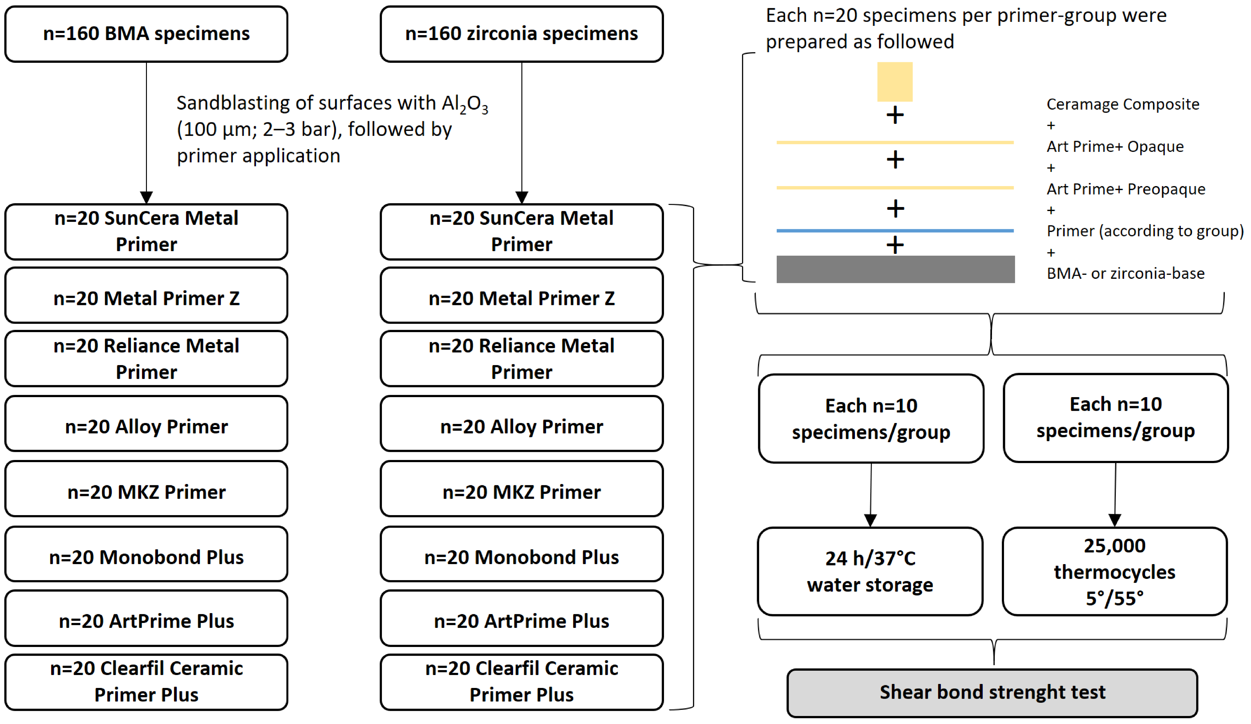 Polymers 16 00572 g001