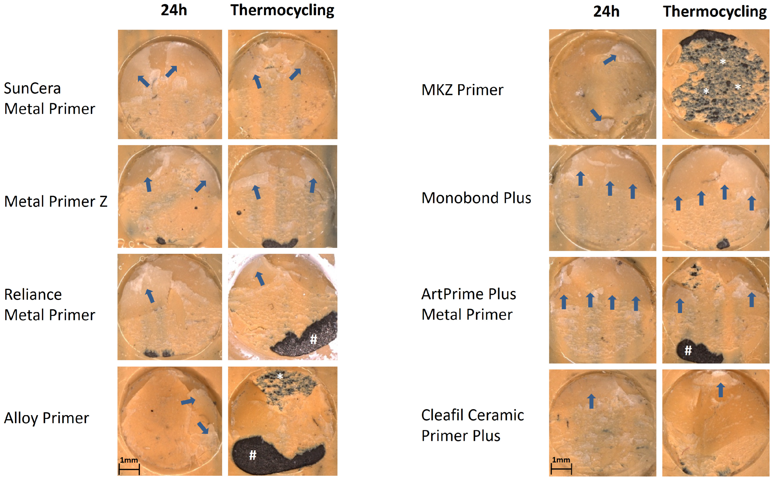 Polymers 16 00572 g006