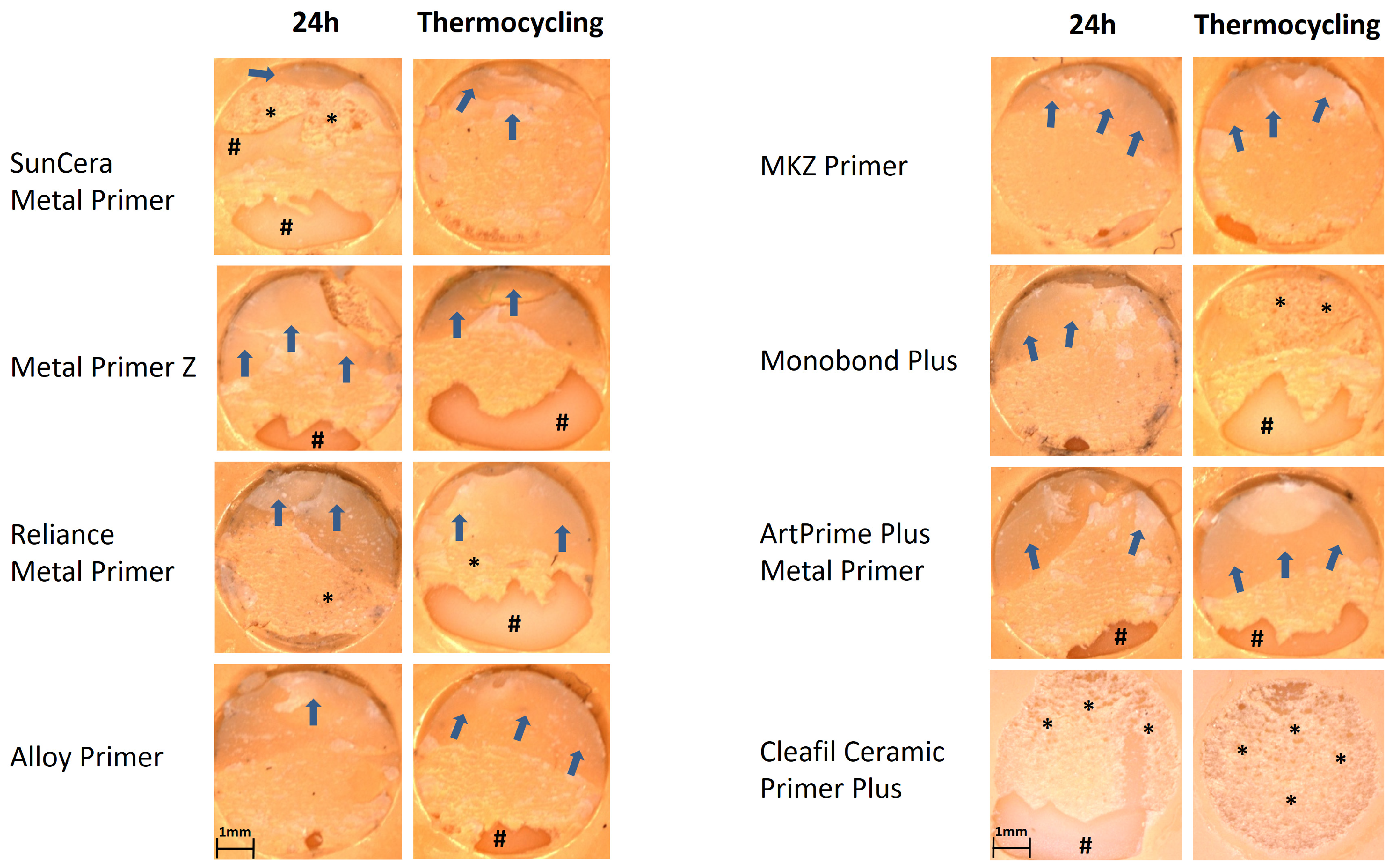 Polymers 16 00572 g007