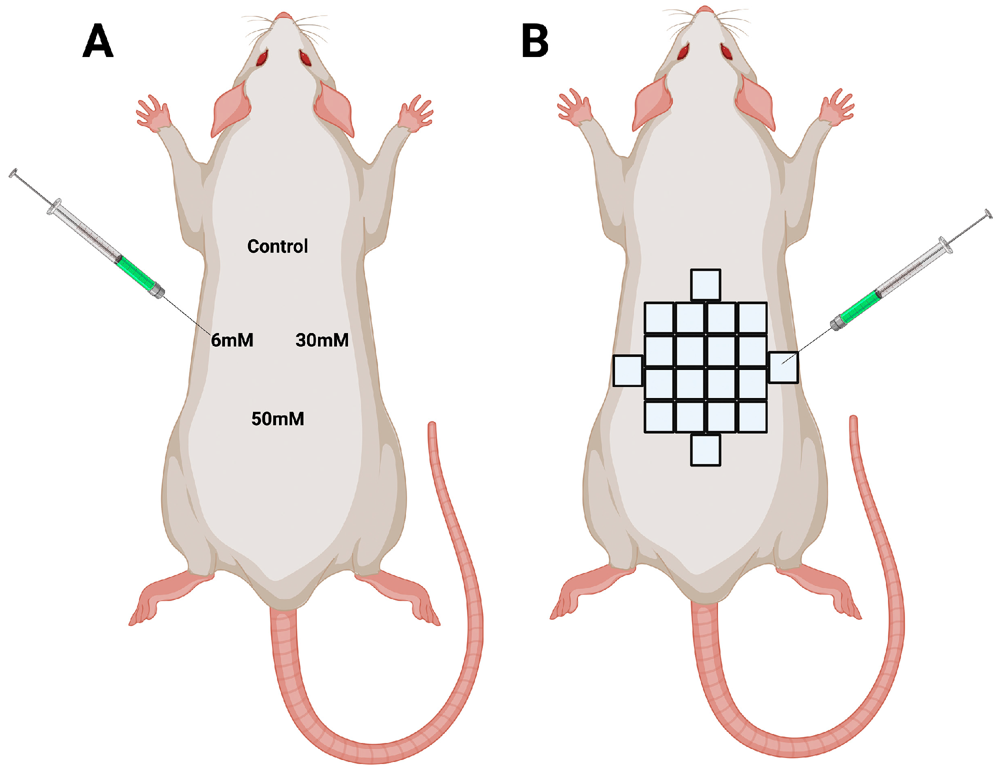 Polymers 16 00573 g001