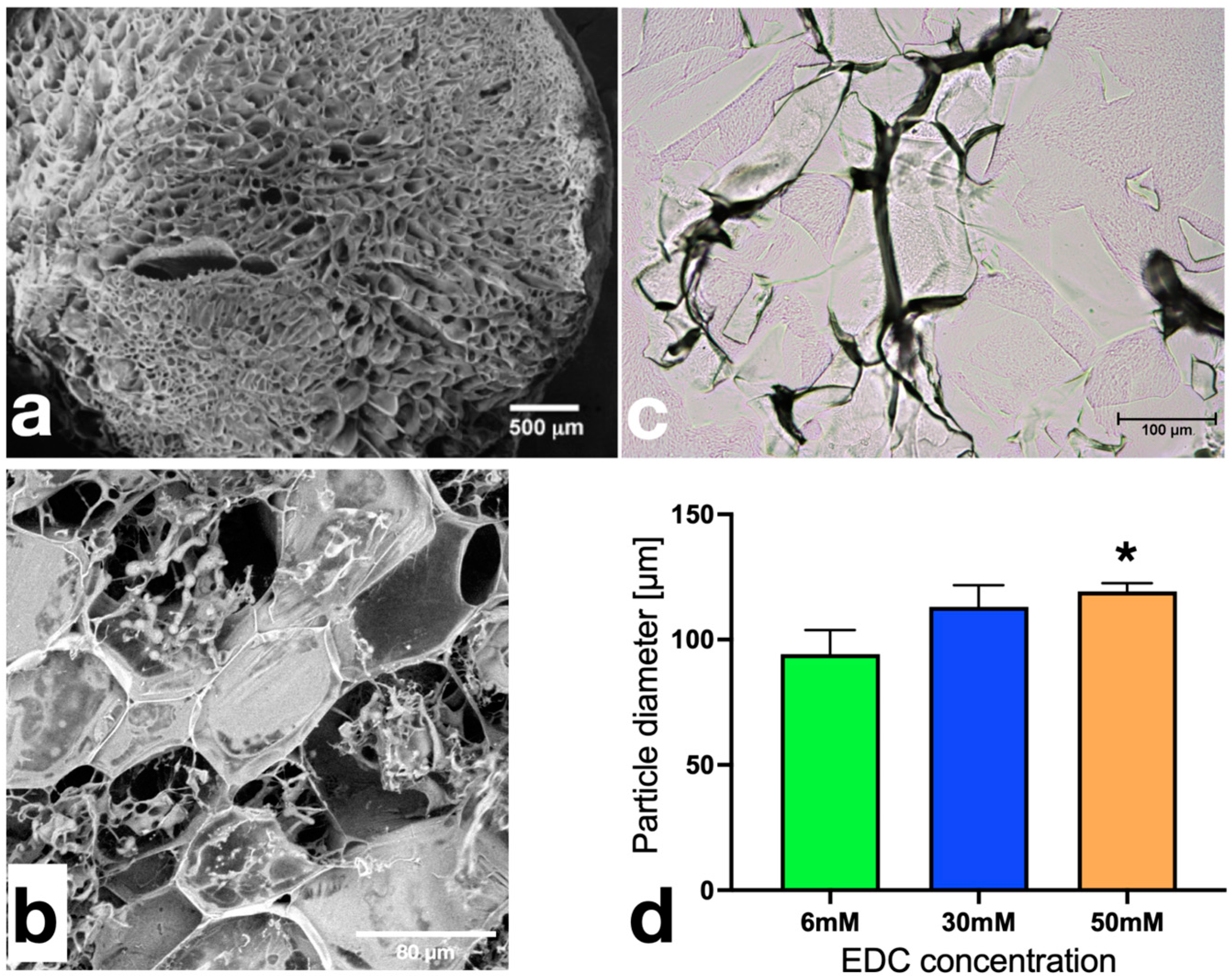 Polymers 16 00573 g002