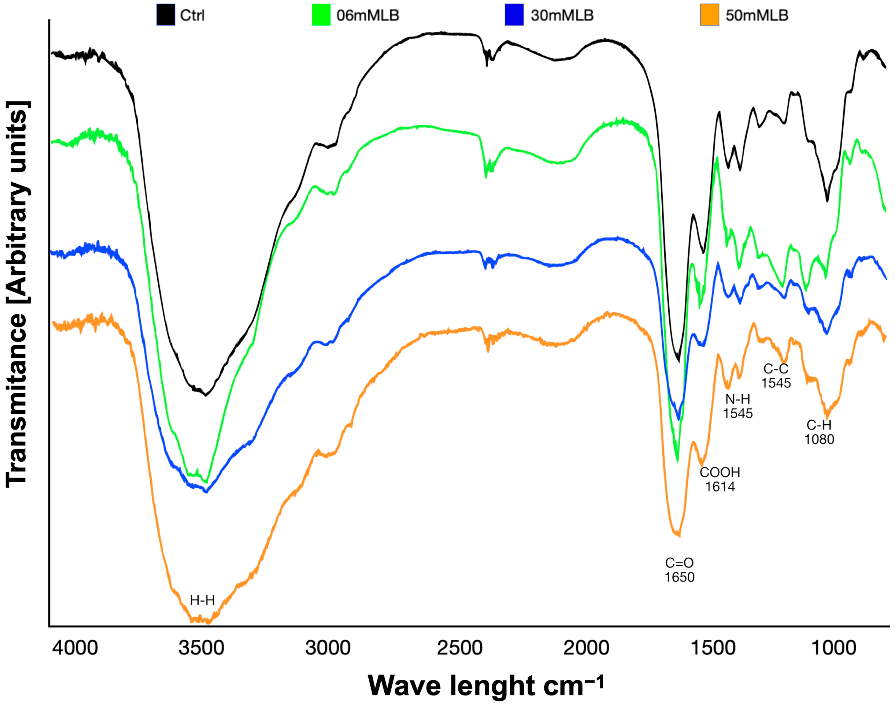 Polymers 16 00573 g004