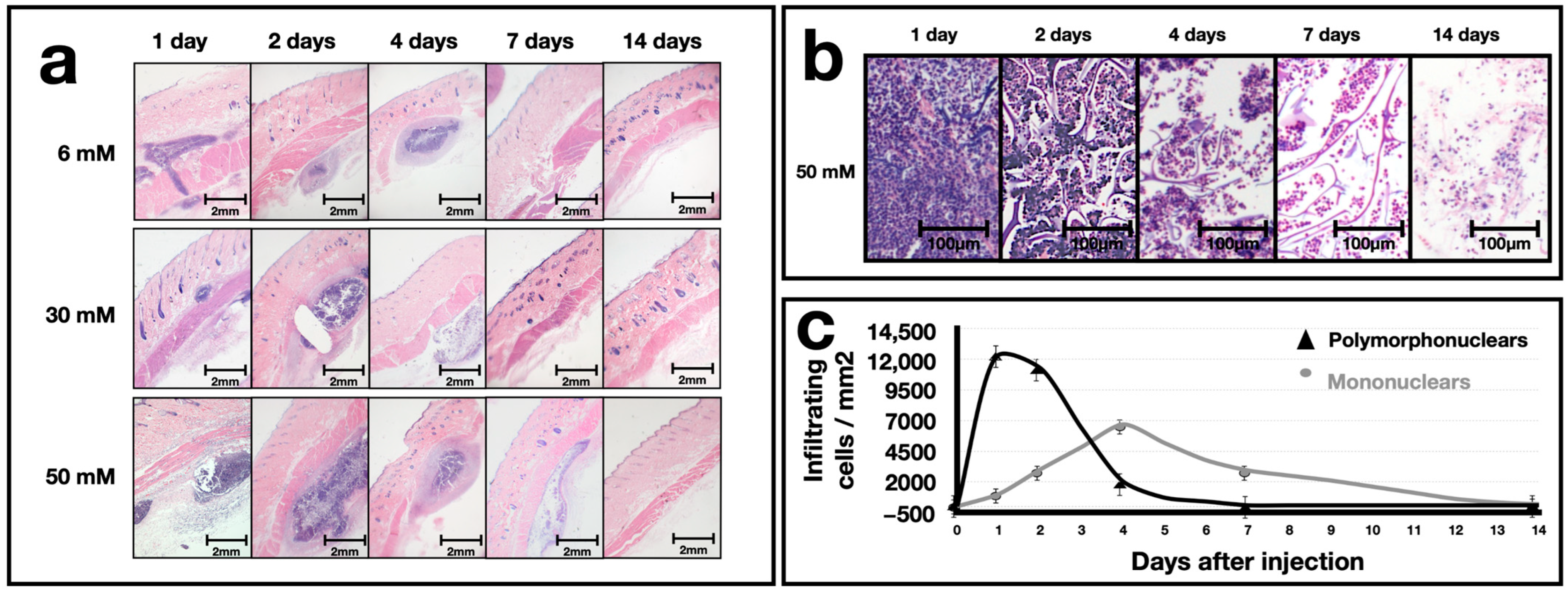 Polymers 16 00573 g005