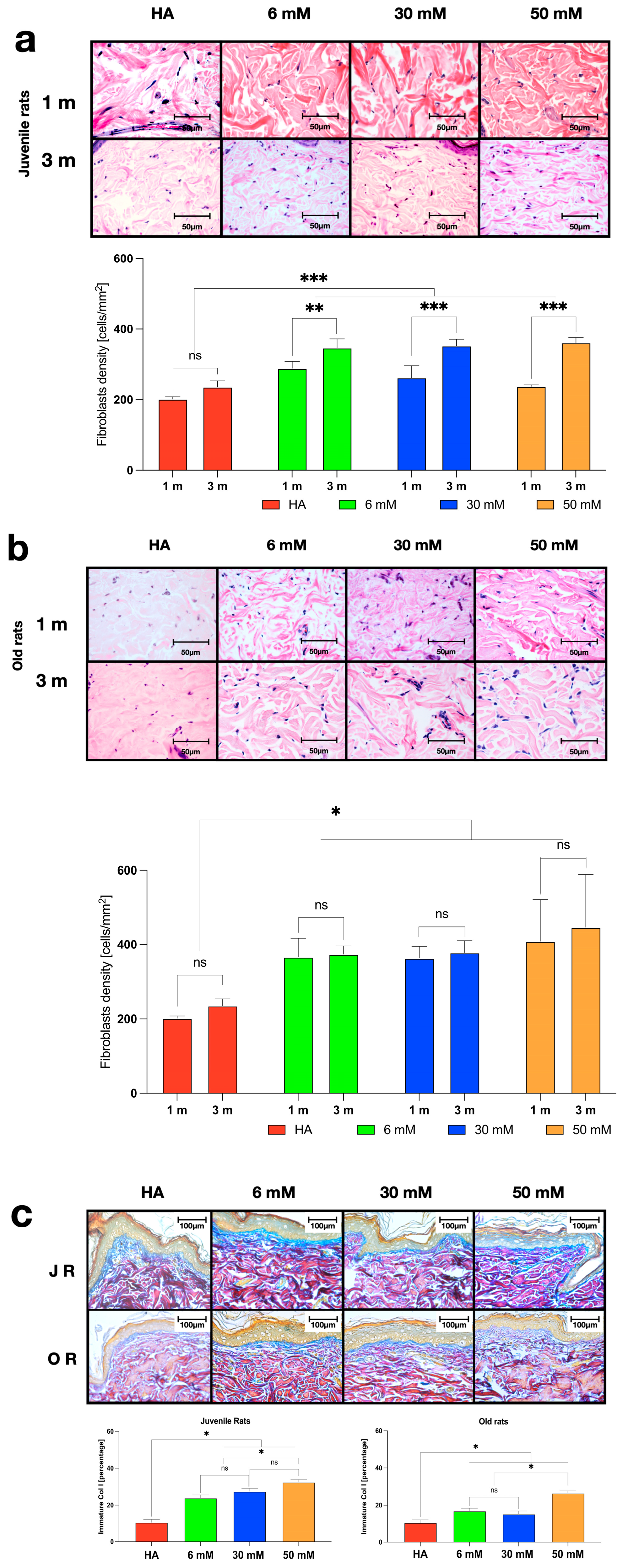 Polymers 16 00573 g006