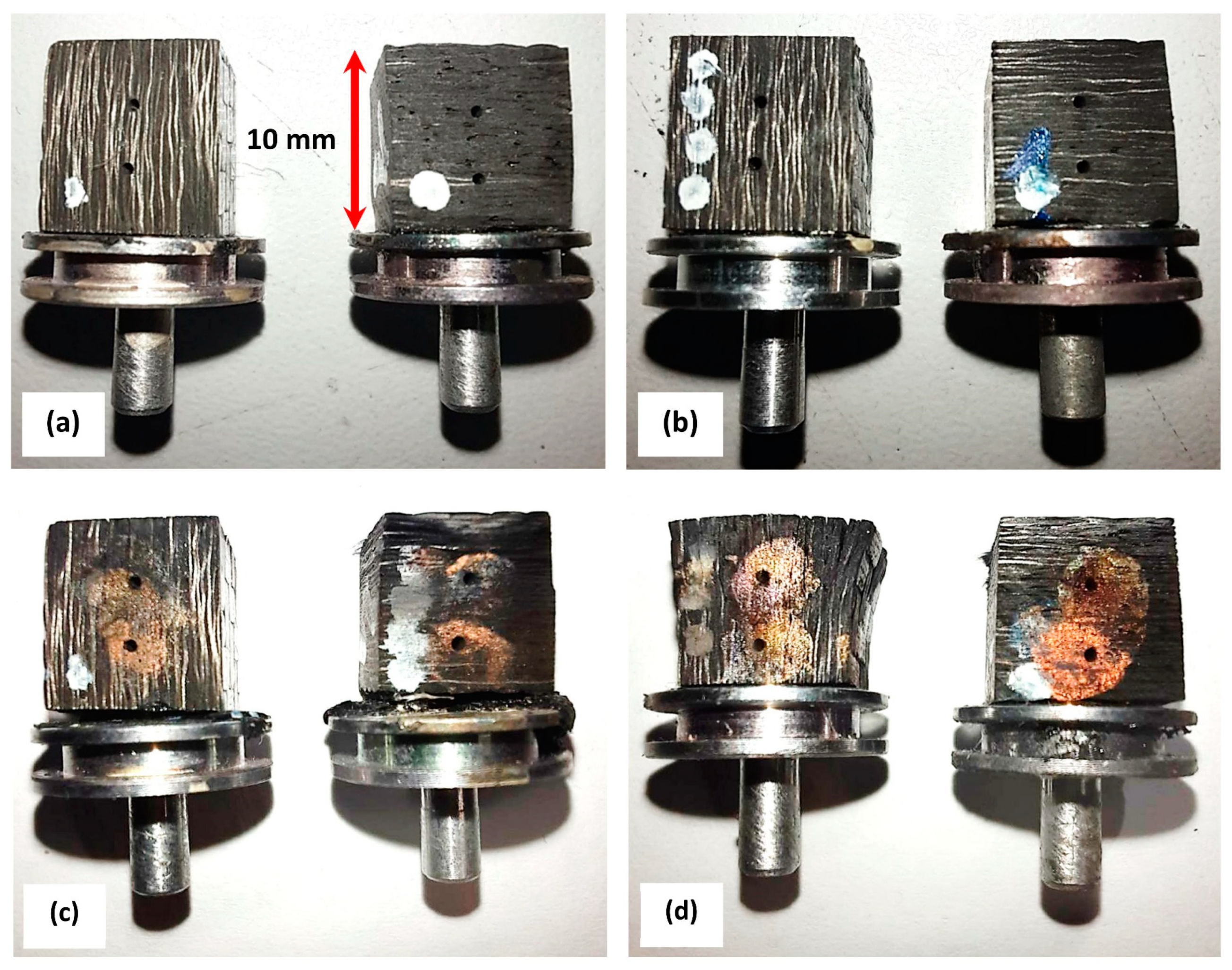 Polymers 16 00577 g002
